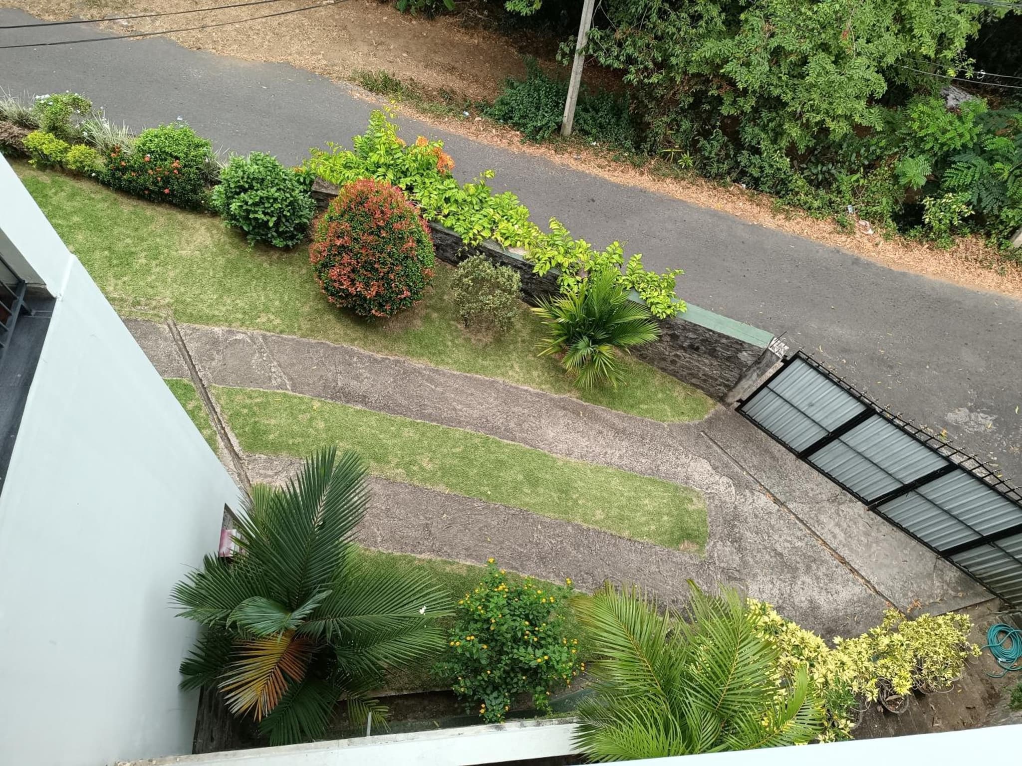 Shalom photo 3