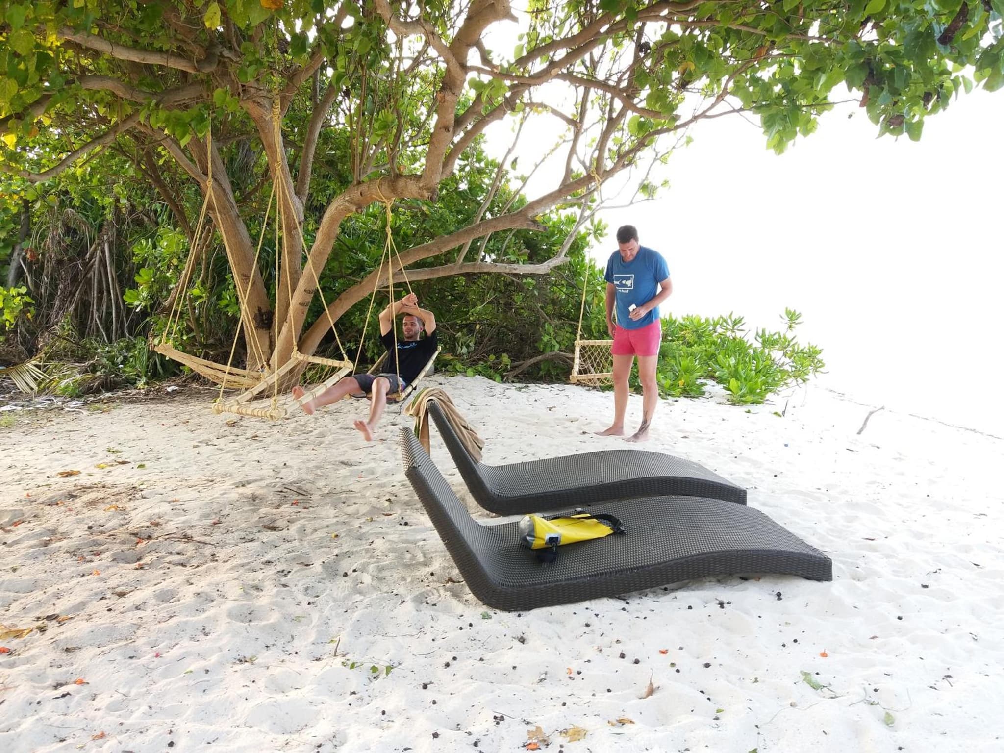 Annama Lodge and Dive photo 8