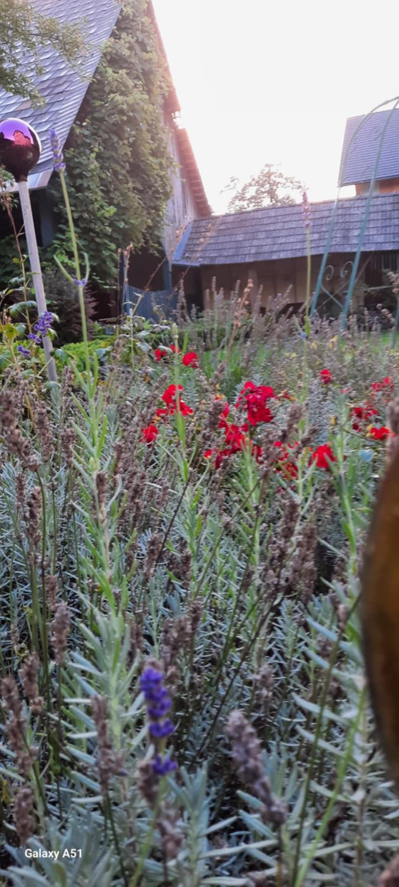 Landhaus Just photo 2