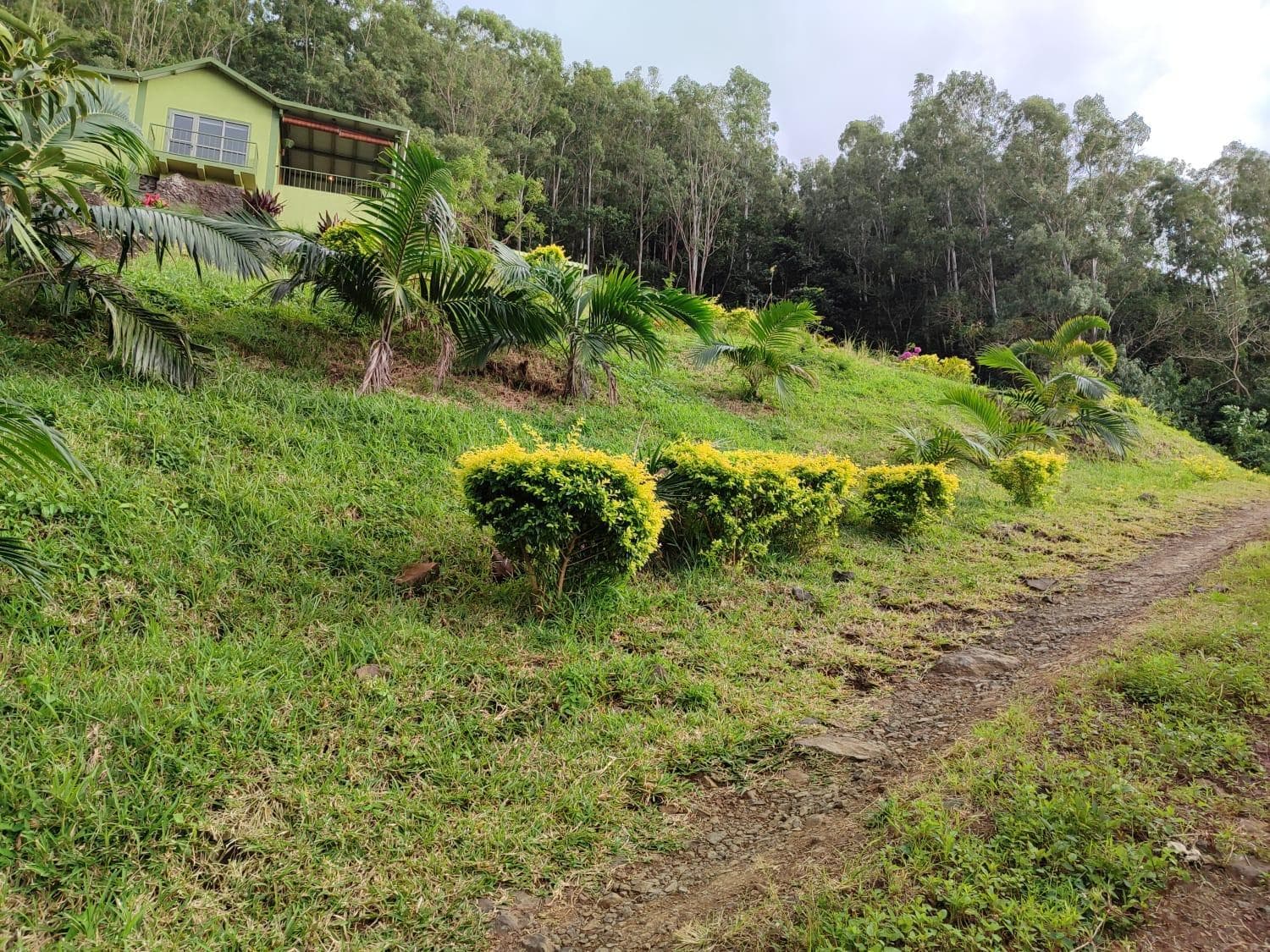 The Green Shack photo 9