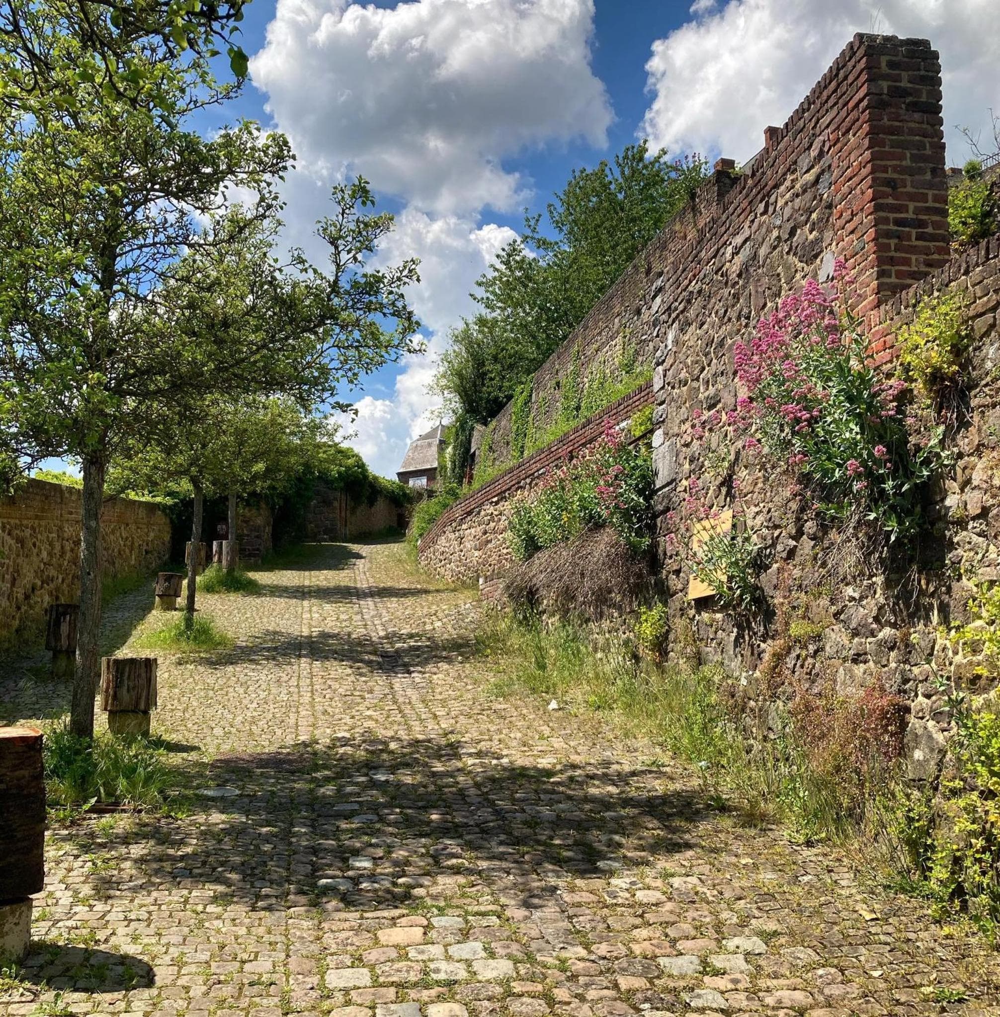 Gîte Le Sambre photo 8