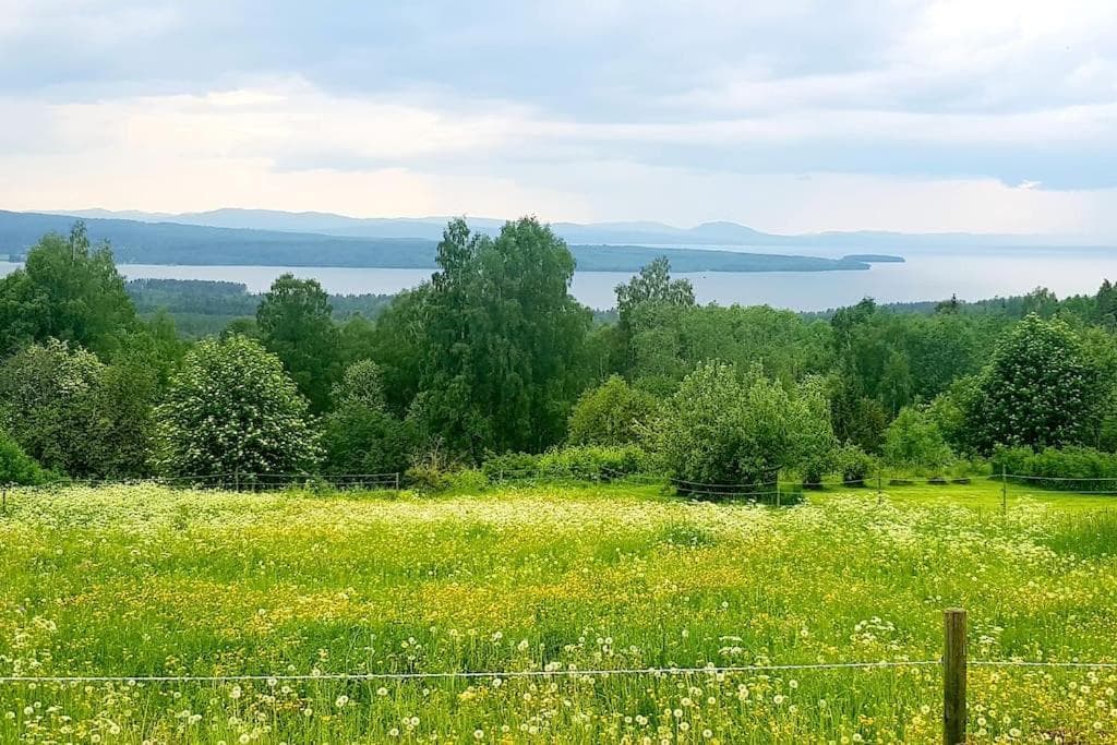 UTSIKTEN -exklusivt nybyggt timmerhus -Plintsberg. photo 6