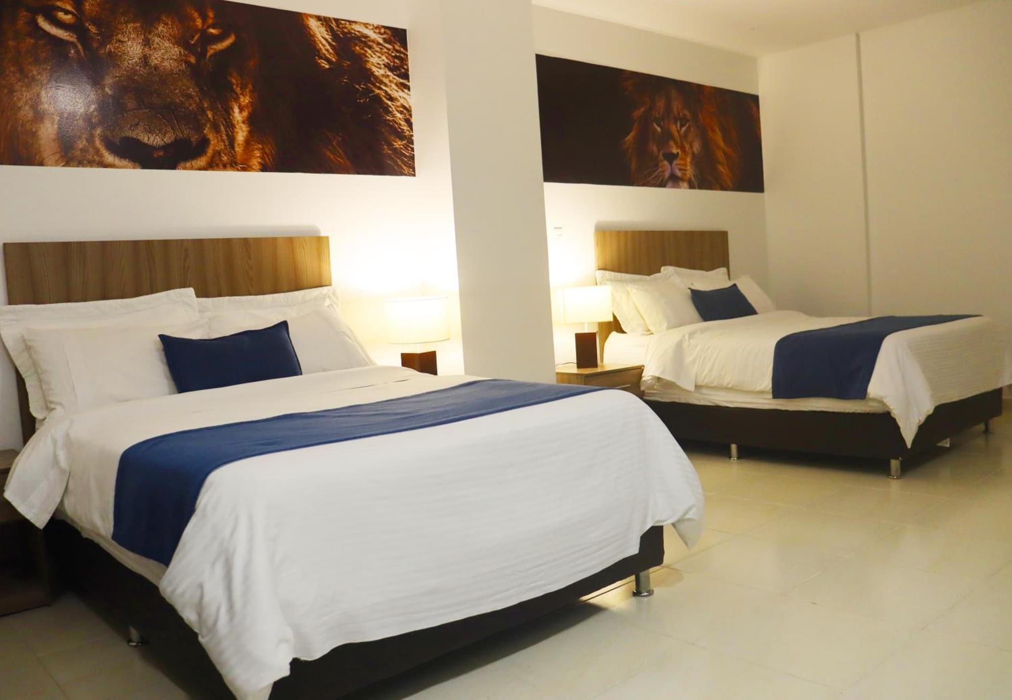 Torca Hotel photo 3