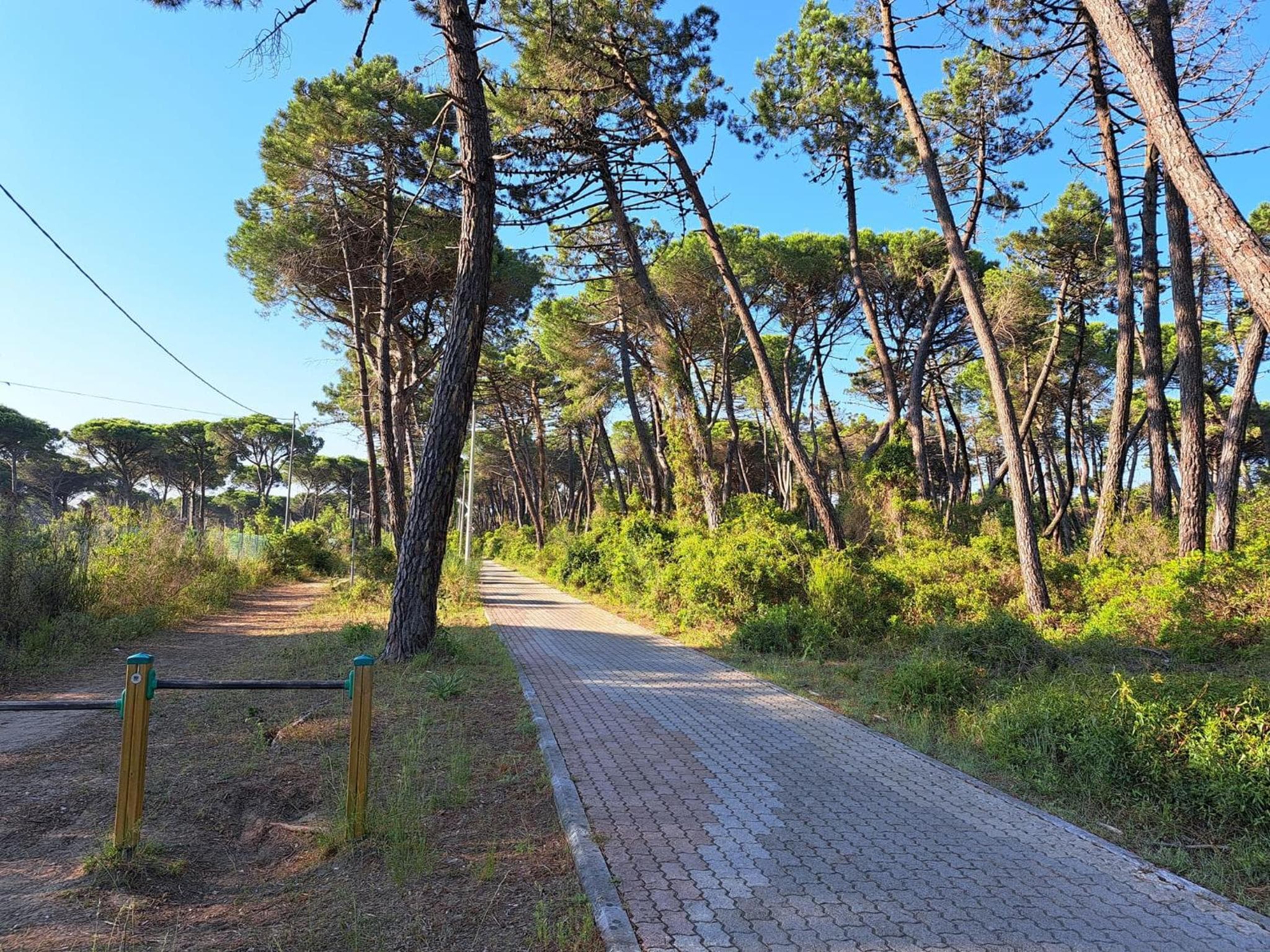 Mareblù - Tuscany Green Aparthotel photo 3