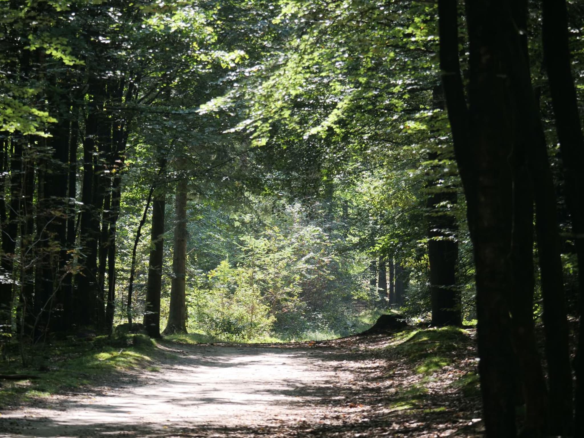 La Vita Veluwe photo 2