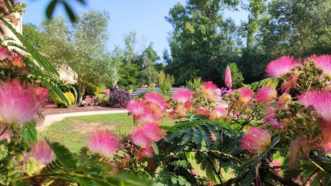 Au Clos Des Templiers photo 6