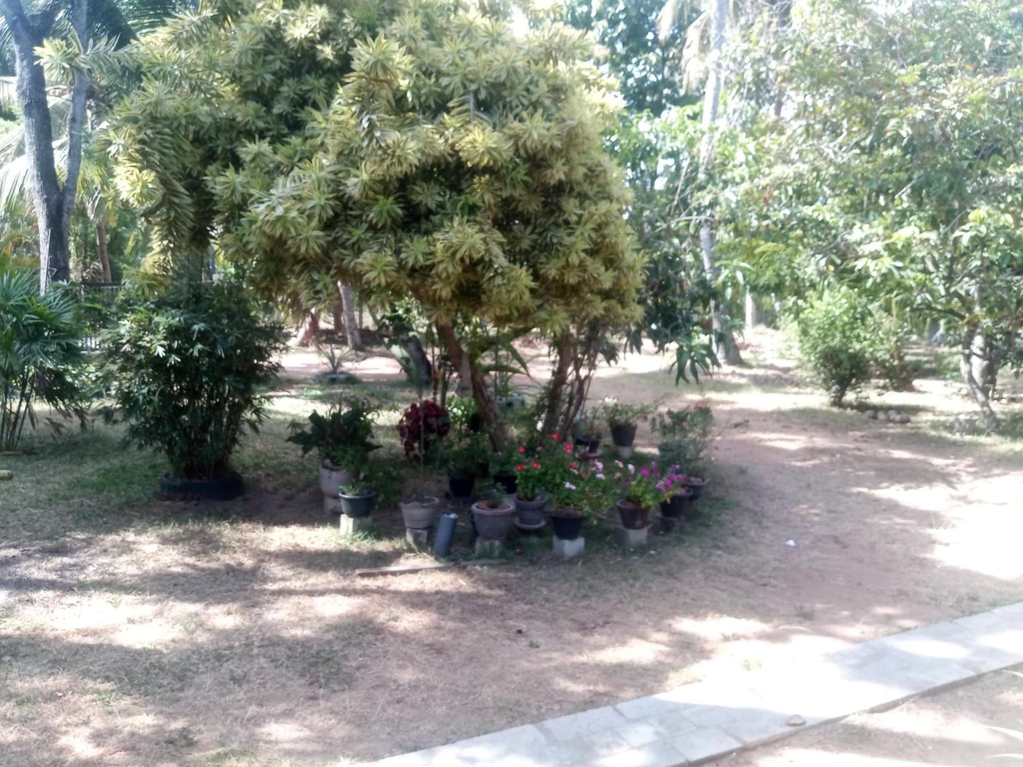 EECS Transit and Budget Homestay photo 6