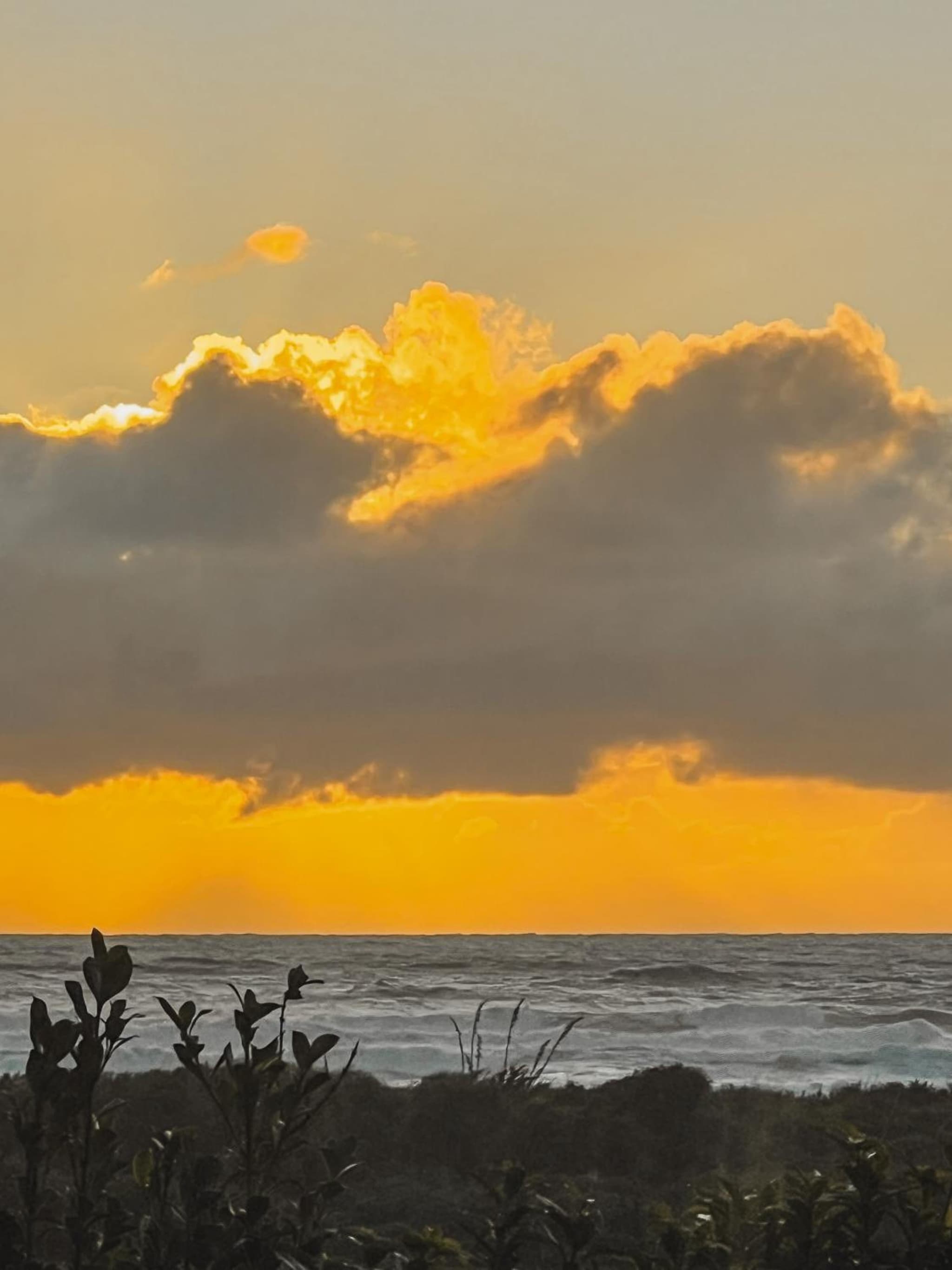 Evergreen Escape Hokitika photo 2