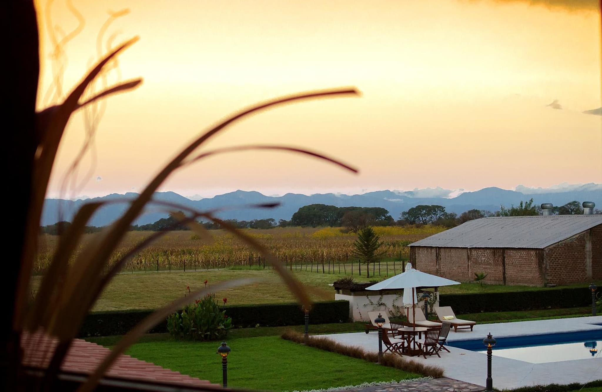 Finca Las Margaritas photo 8