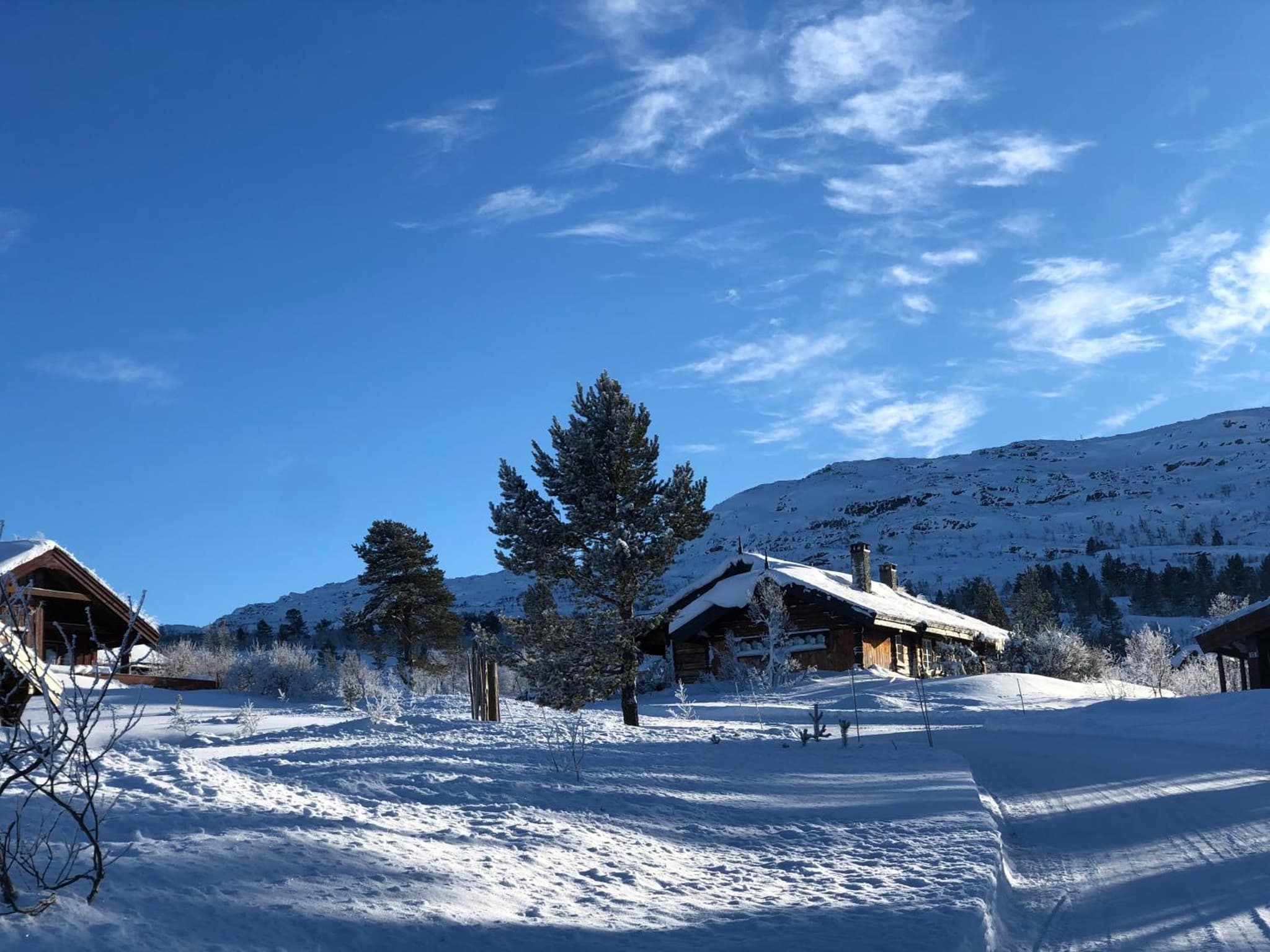 Solsetra - Mountain Majesty Family Log Cabin