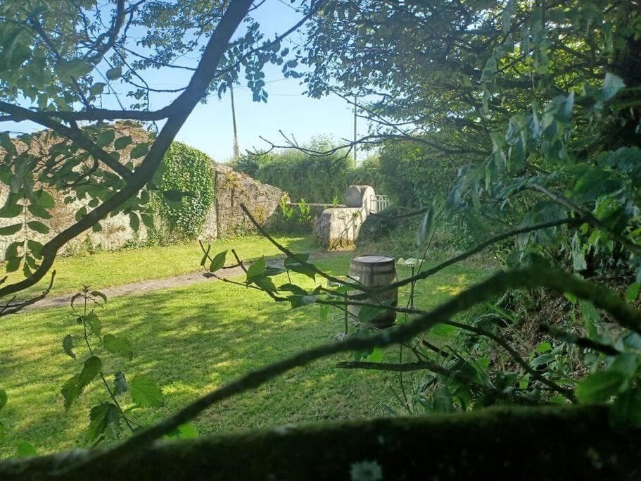 Foxglove Lodge photo 7