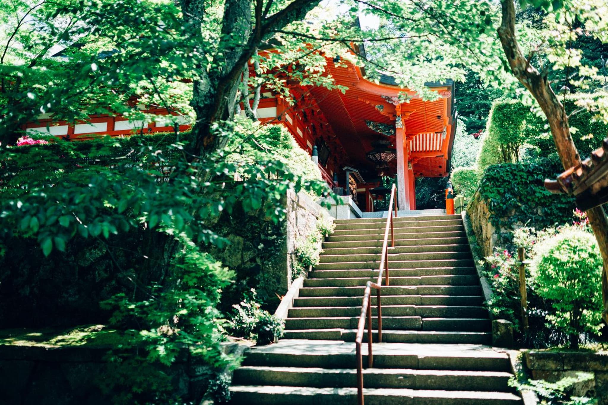 Hatori photo 9