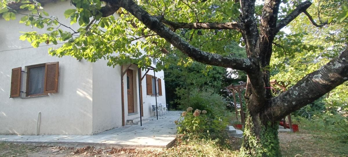 Margarita's House photo 3