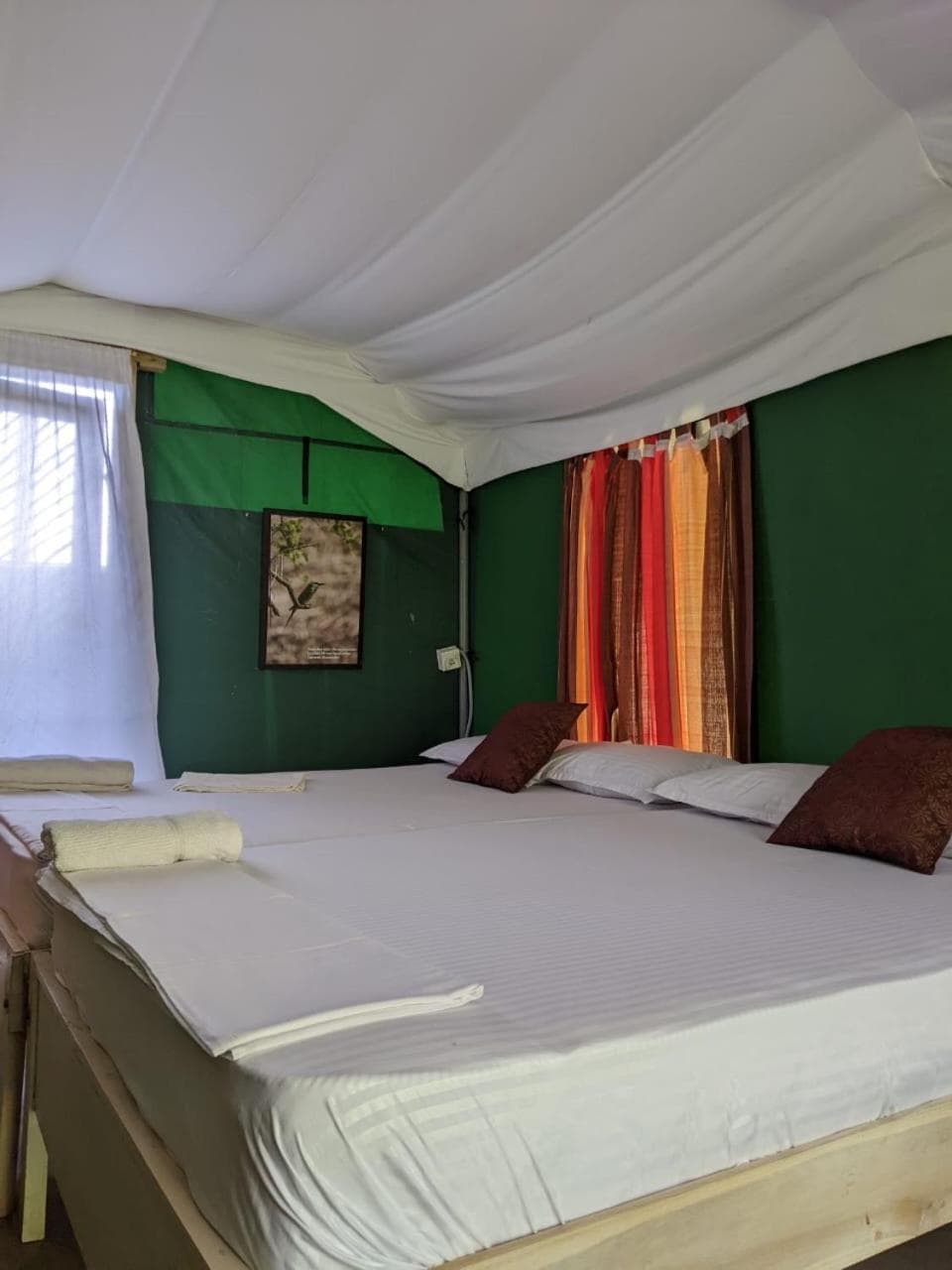 Nirvaan Safari Lodge photo 3