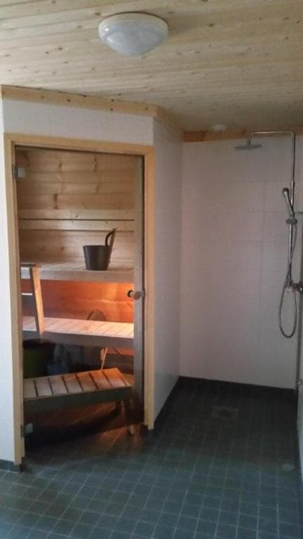 Hallahaukka photo 6
