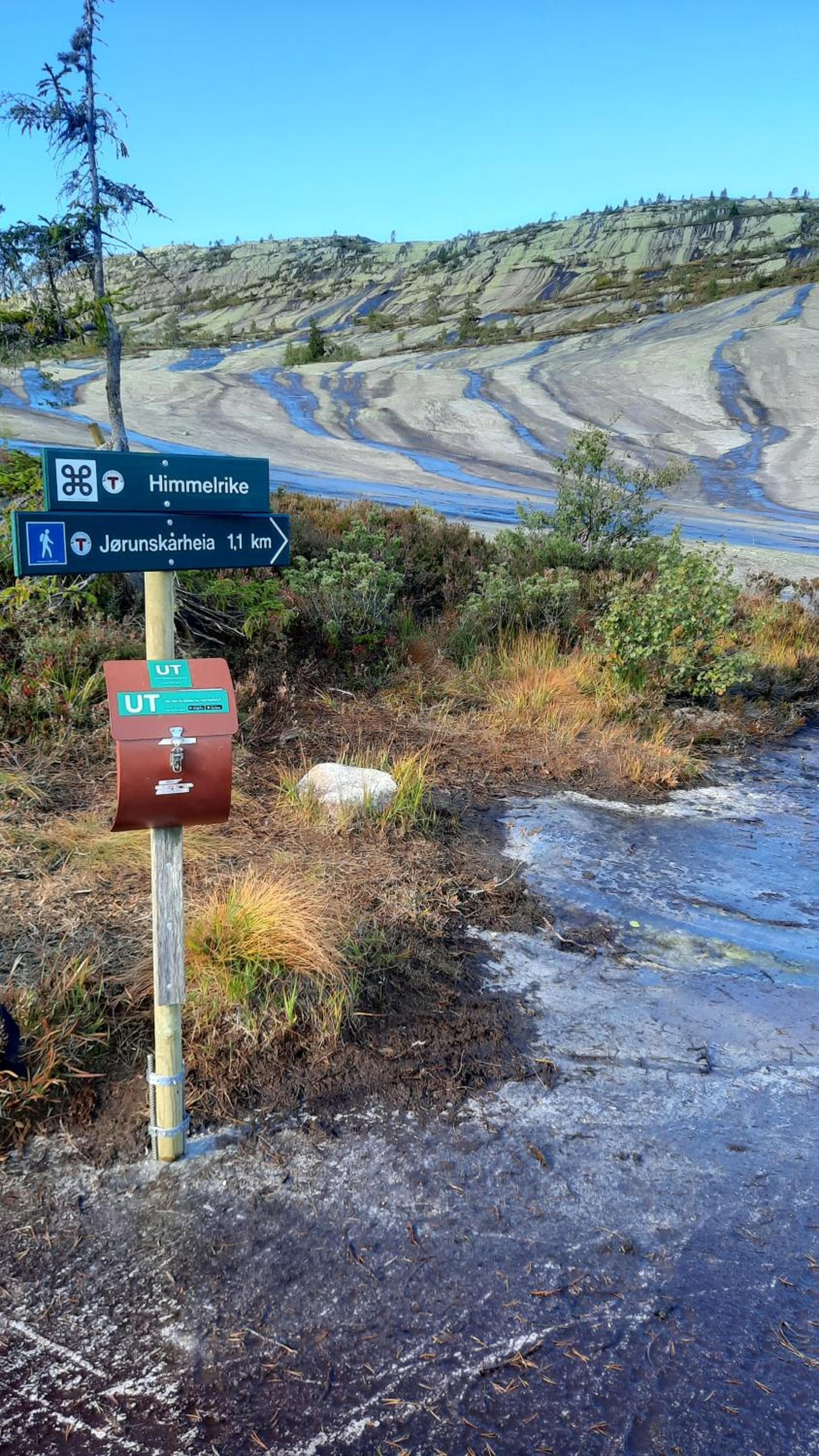 Moderne fjellhytte Gautefall, Norge photo 3