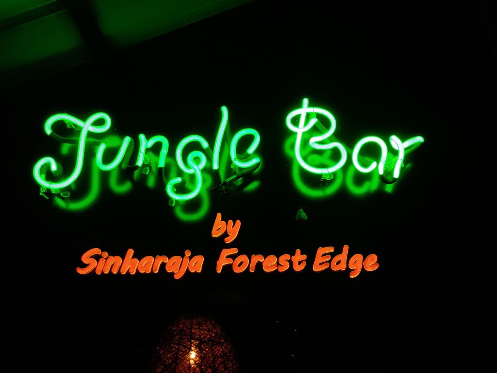 Sinharaja Forest Edge photo 9