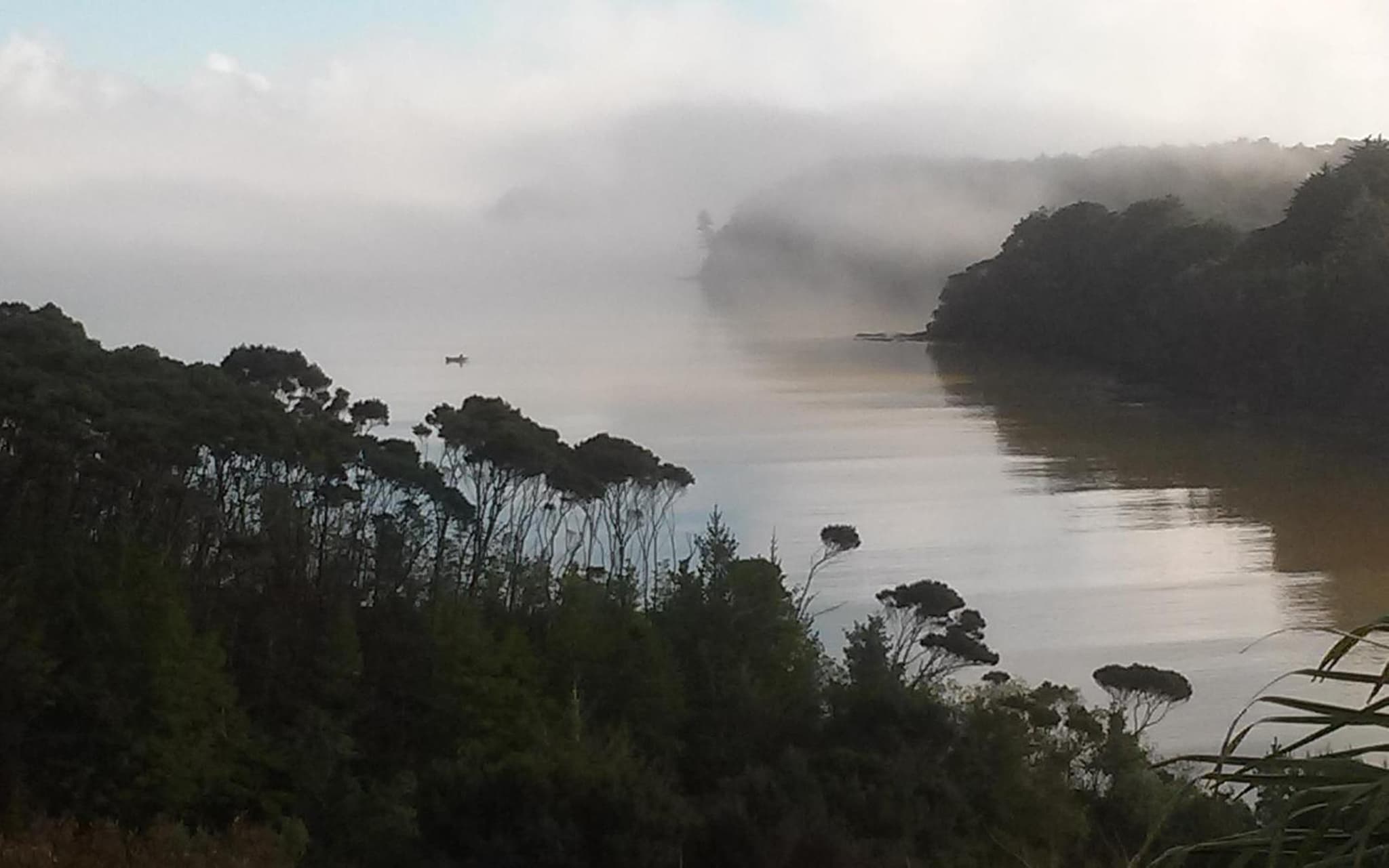 Pipiroa Bay Homestay photo 4