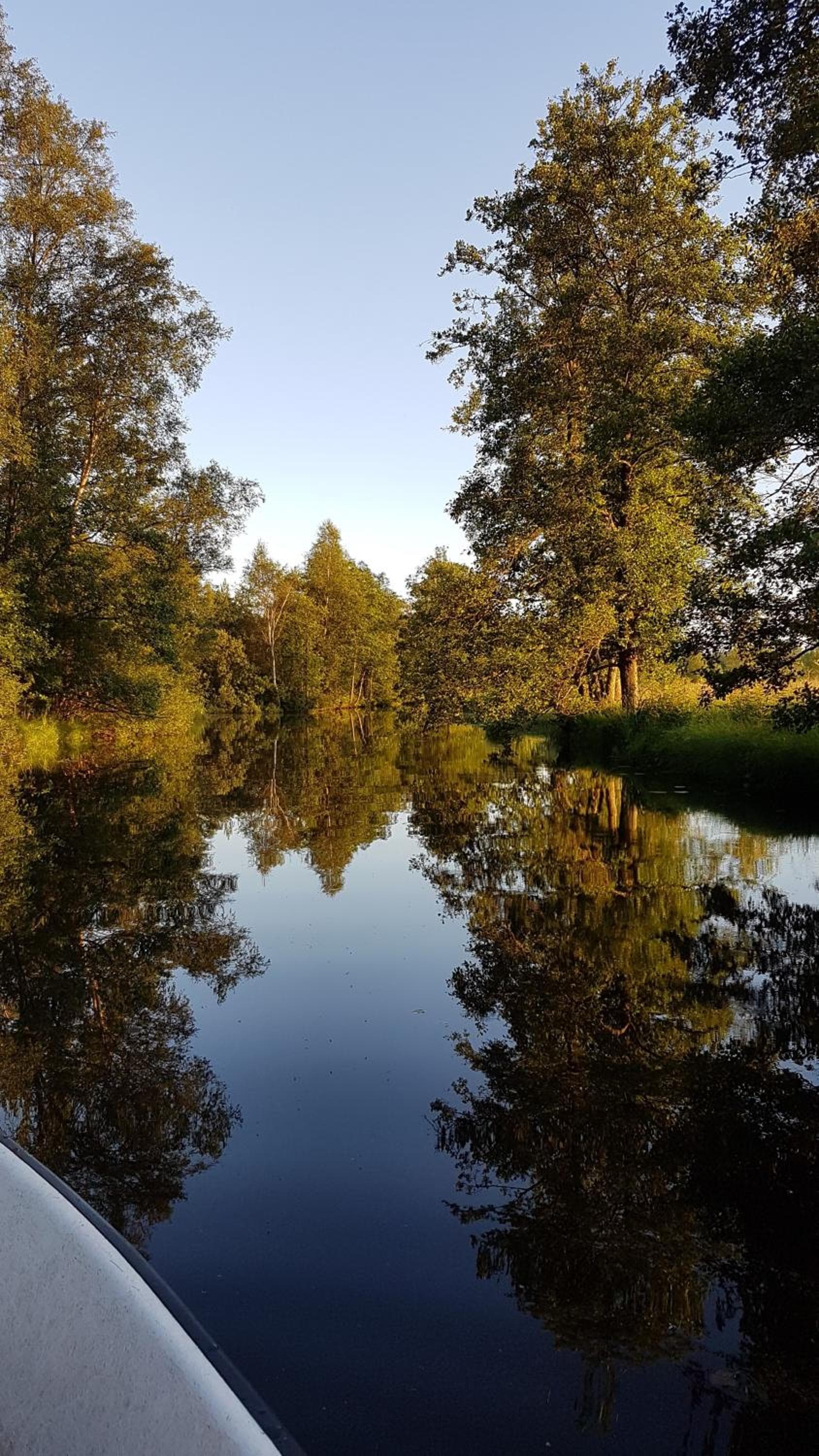 Skeens Nygård photo 5