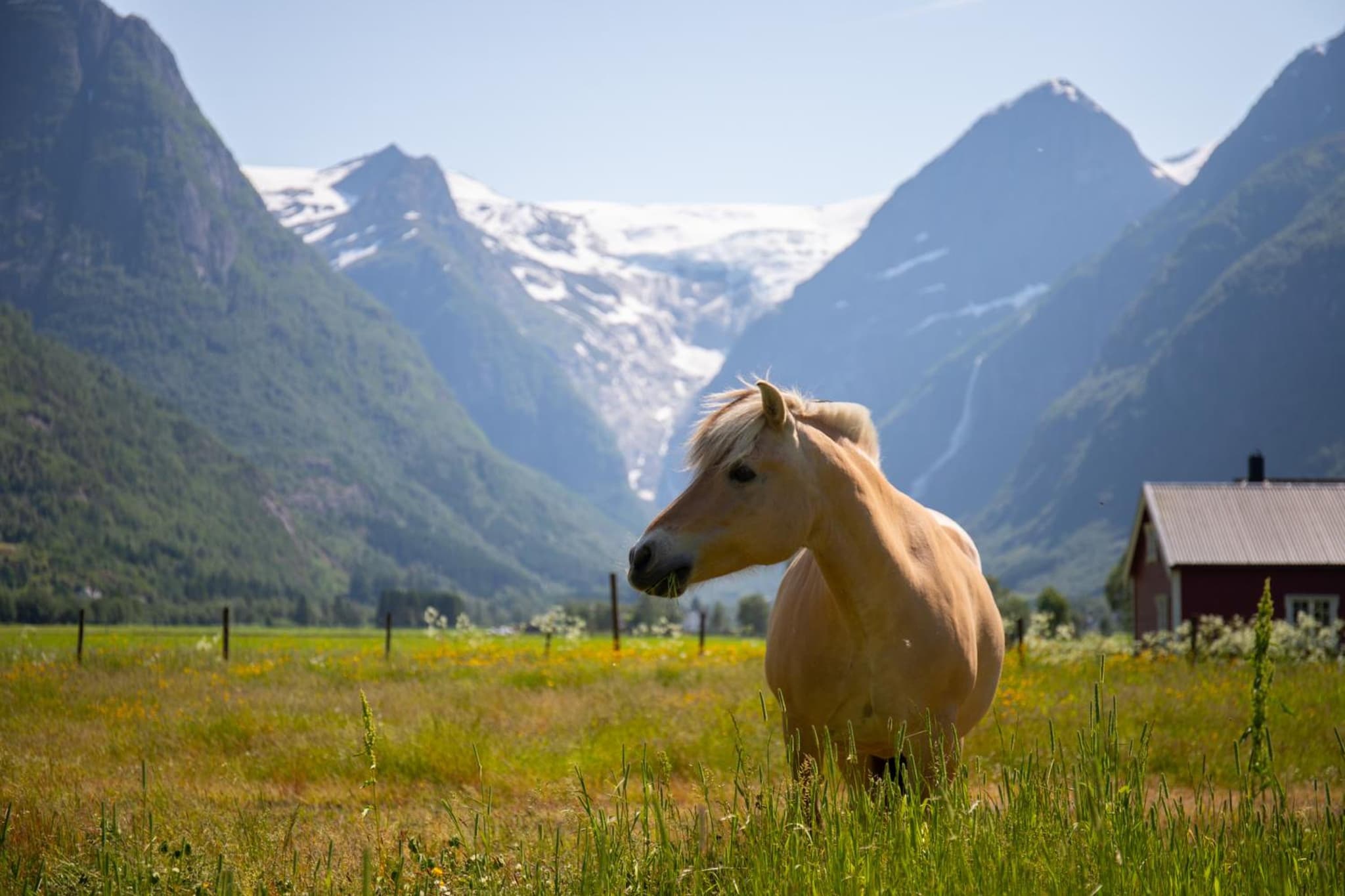 Olden Glamping - One with nature photo 4