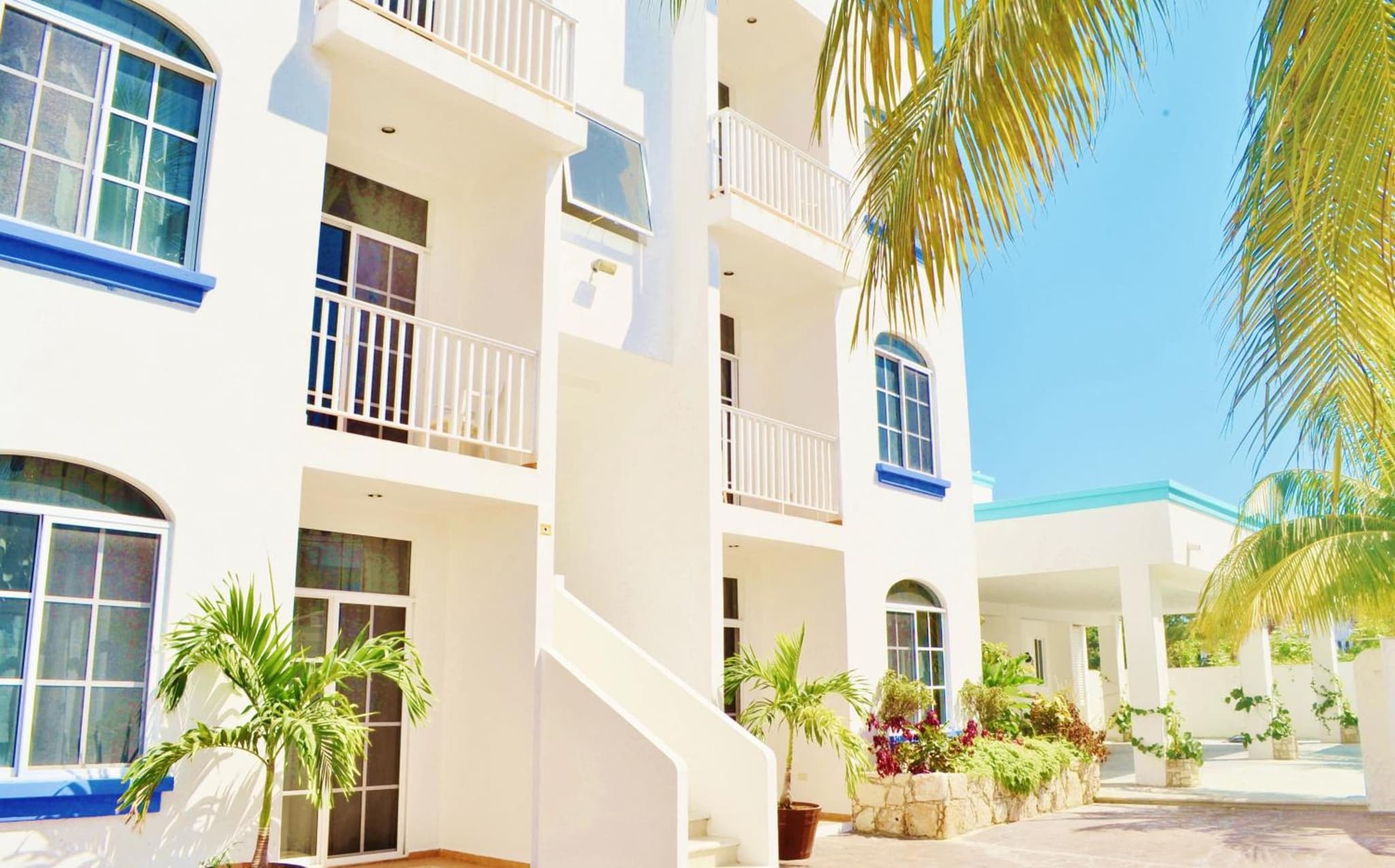 Corales Suites photo 3