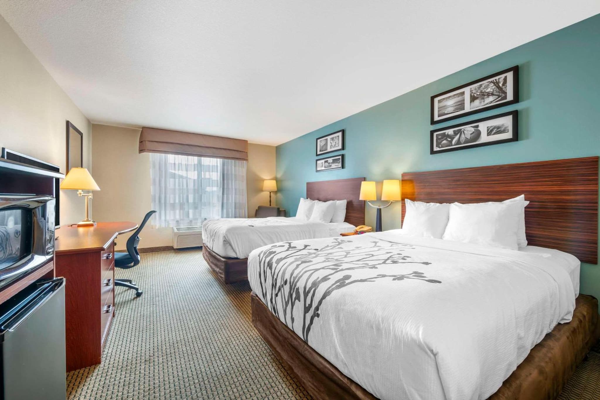 Sleep Inn & Suites Rapid City photo 3