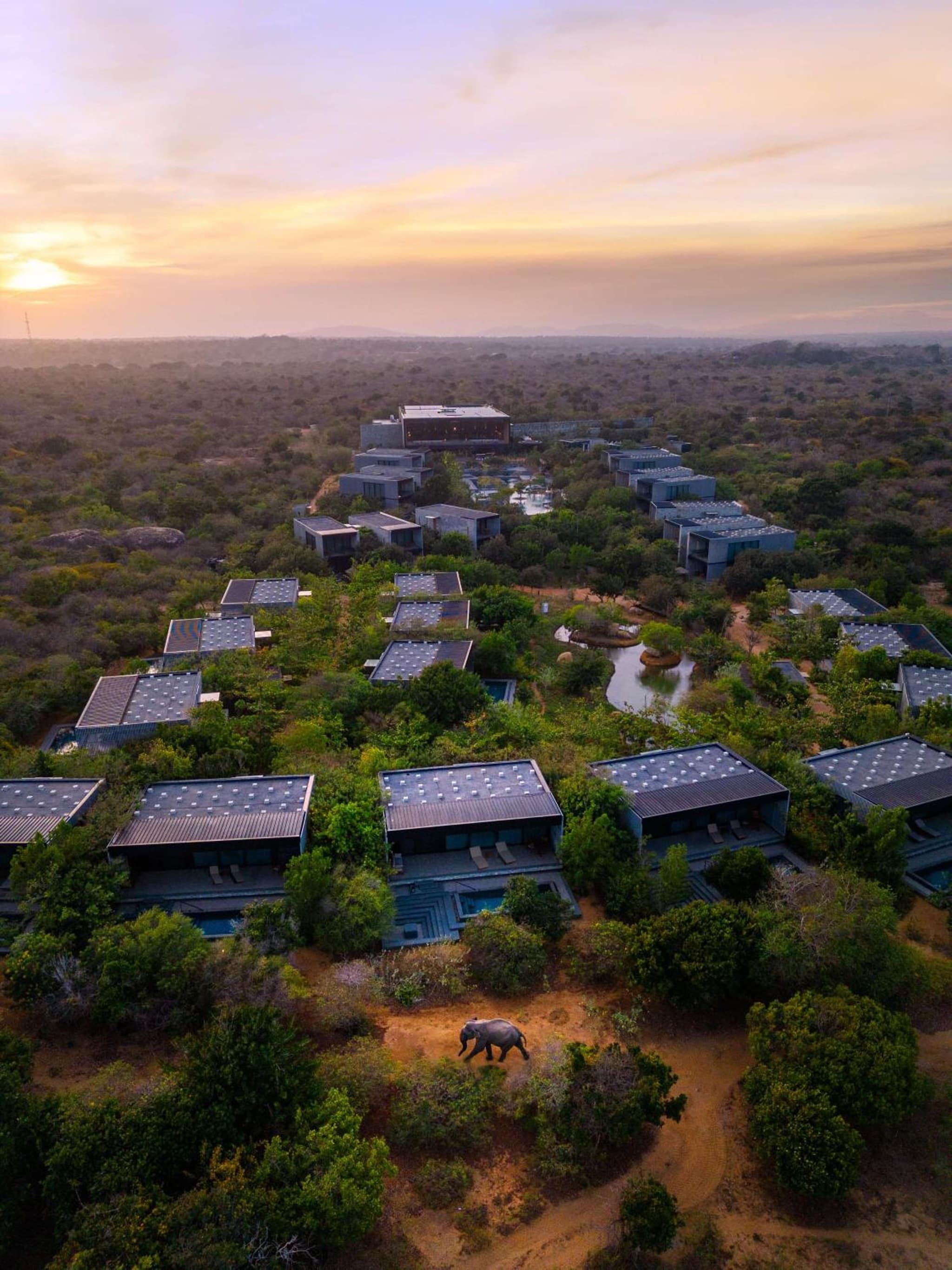 Hilton Yala Resort photo 4