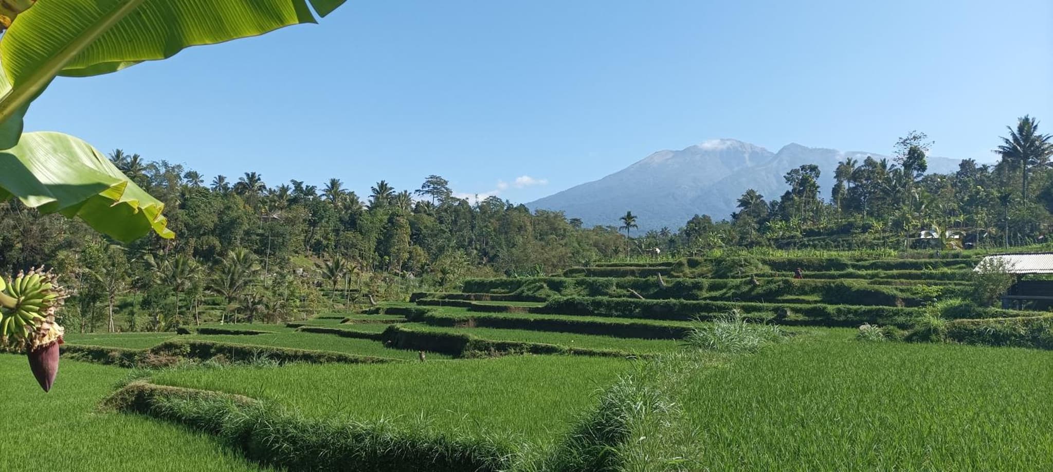 MyHome - Lombok photo 8