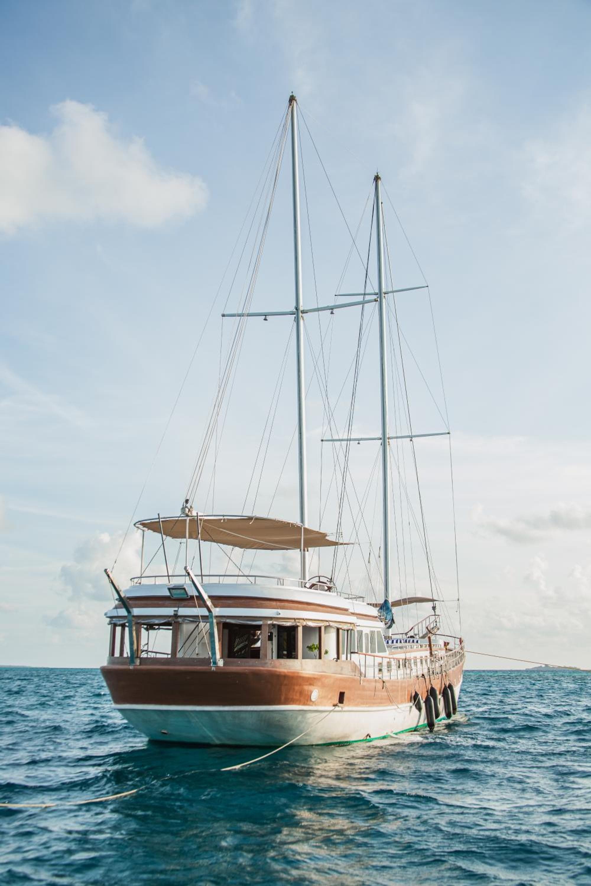 Akoya Pearl photo 5