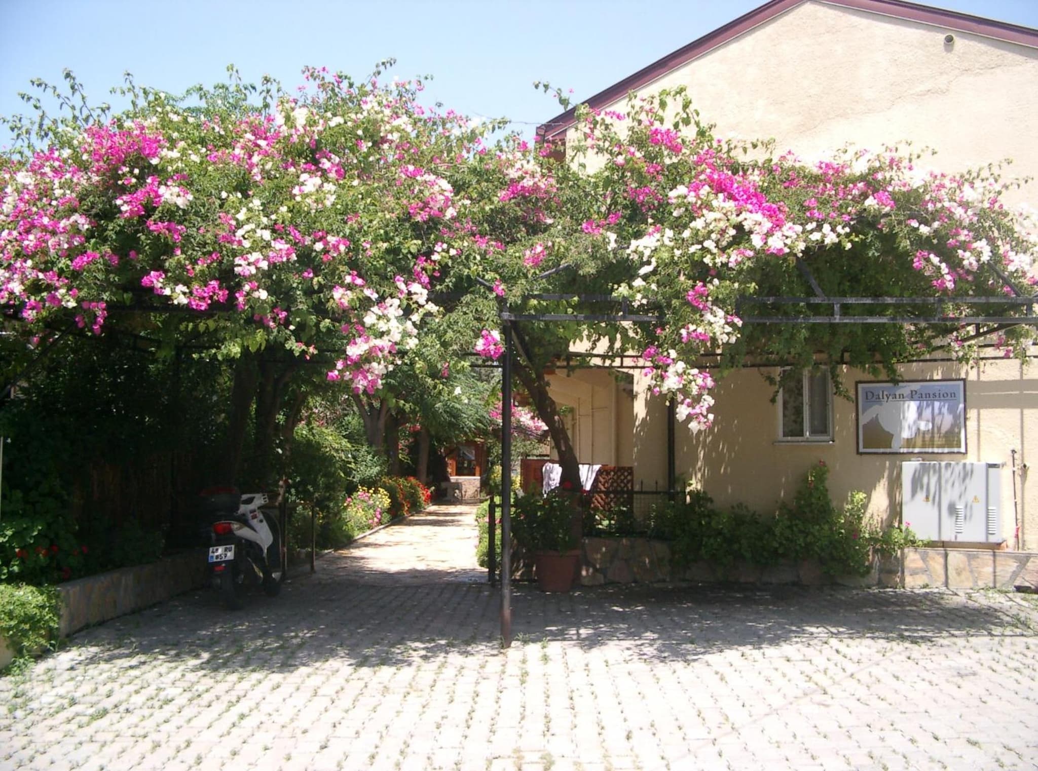 Dalyan Pension photo 2