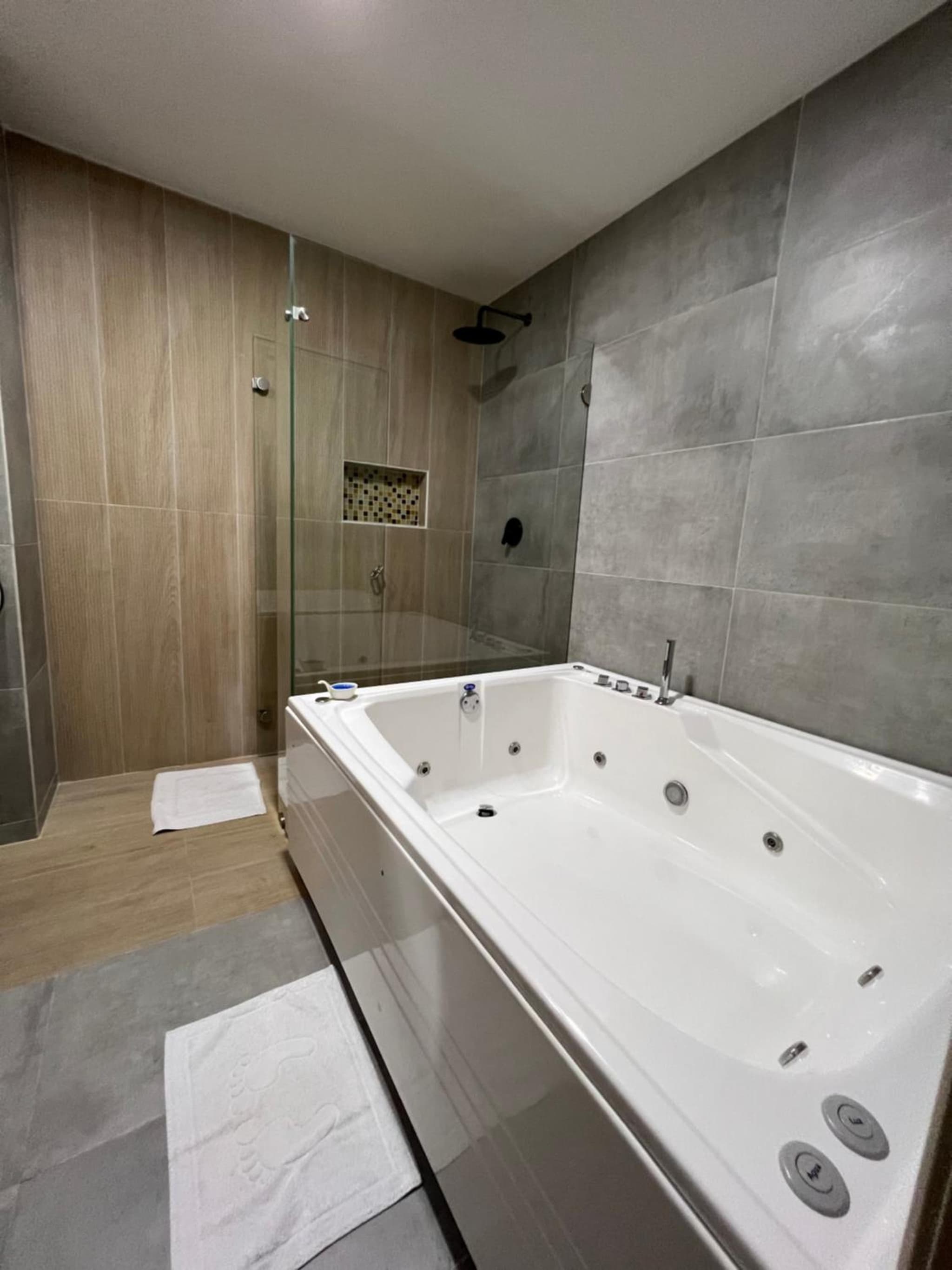 Hotel Buena Vista Express photo 6