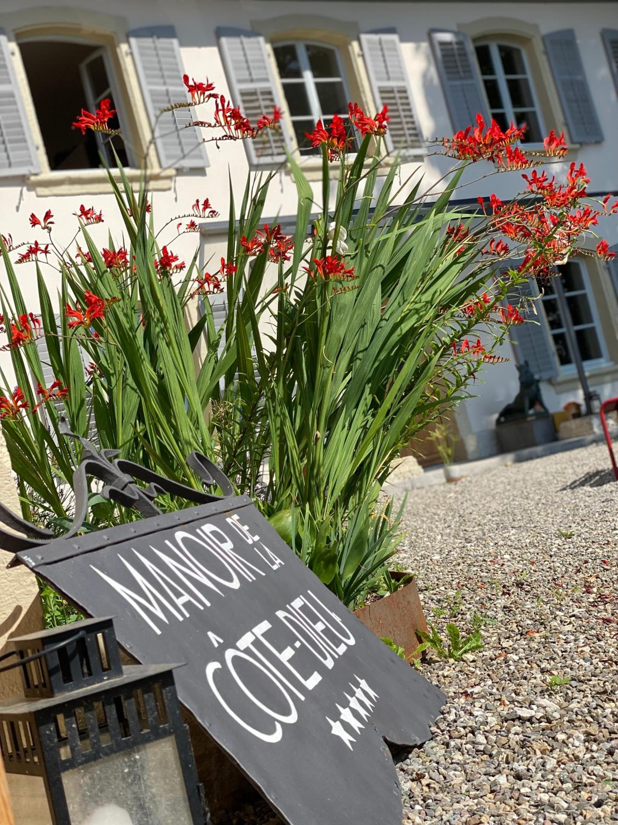 Manoir de la Côte-Dieu photo 8