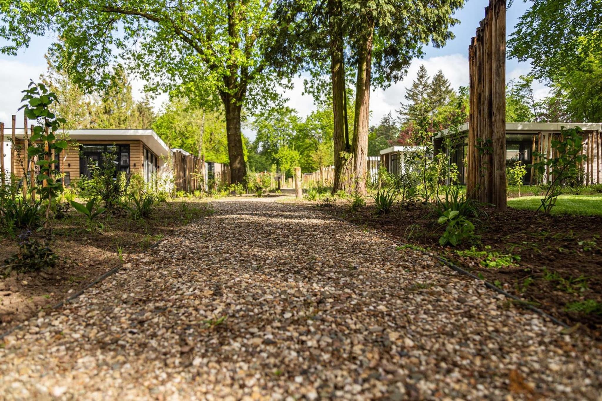 TopParken – Bospark Ede photo 7