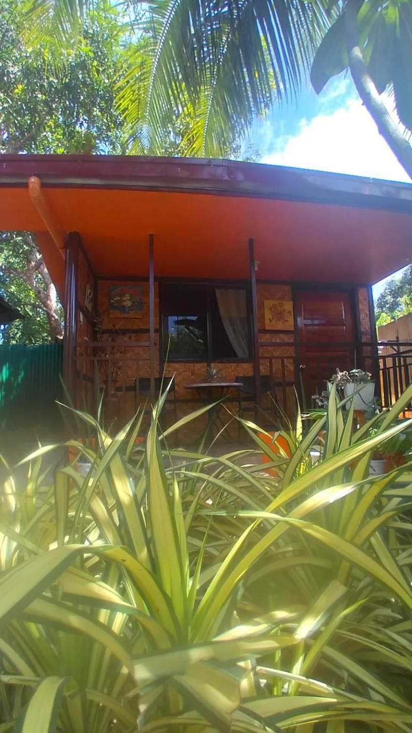 ADRIANA's PLACE TROPICAL GUESTHOUSE photo 9