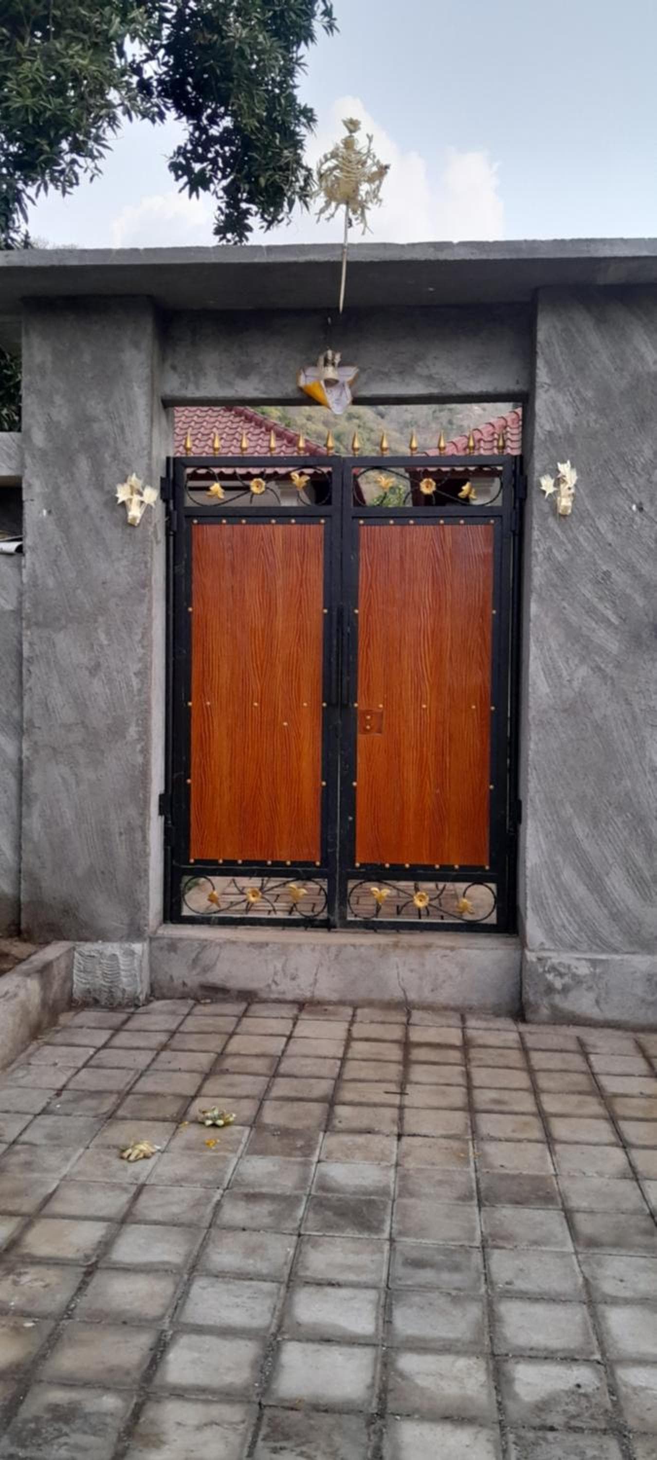 Comeon Amed photo 7