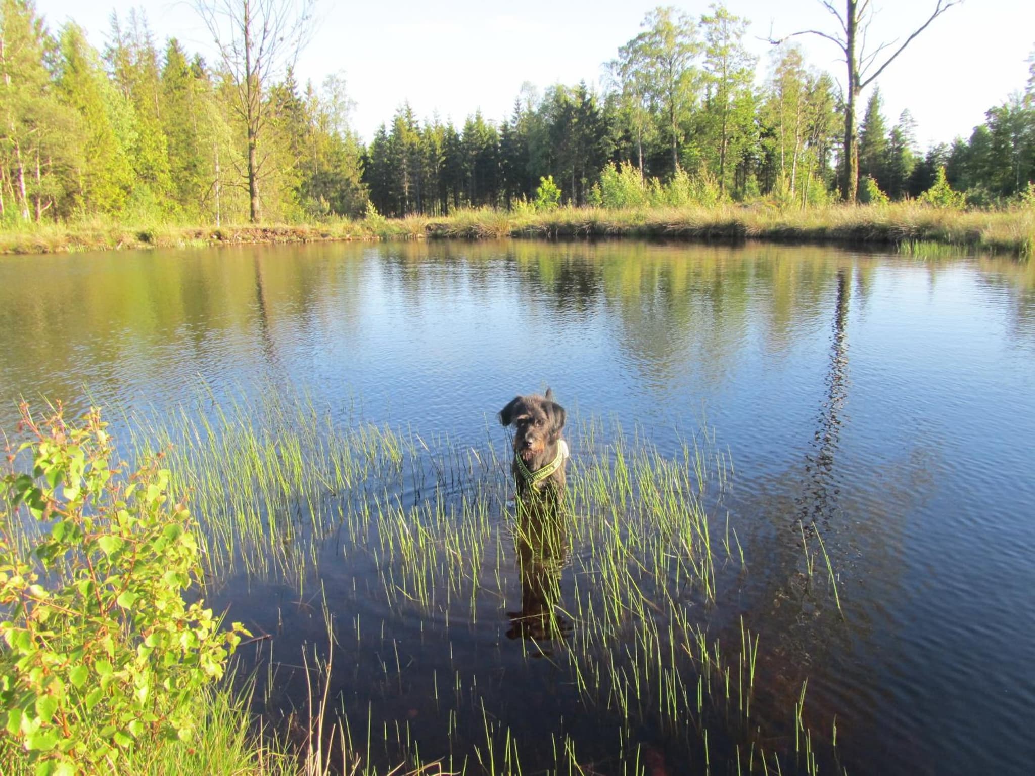 Joe Getaway - Stugby i Ullared photo 2