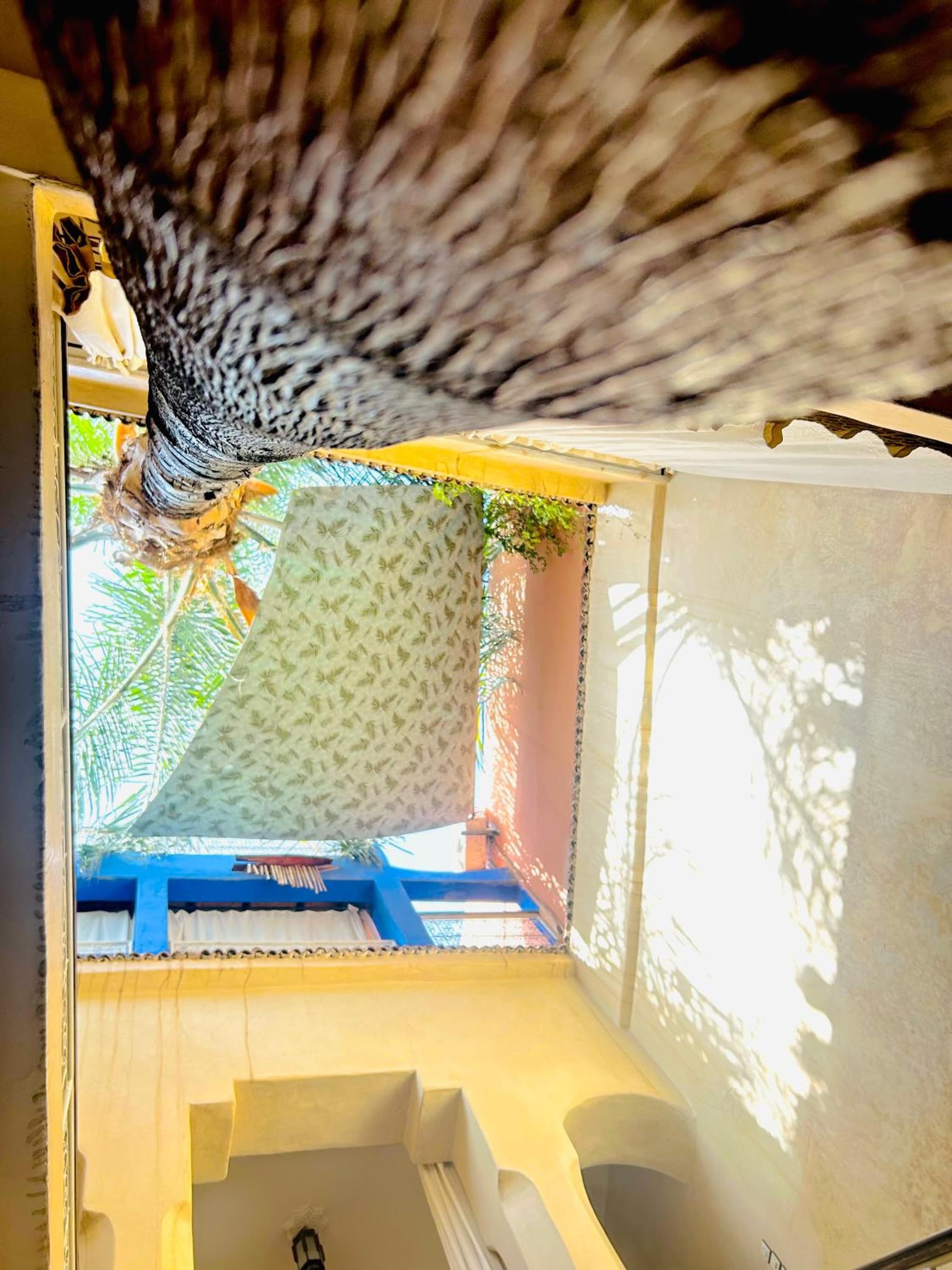 Riad Alamine photo 7