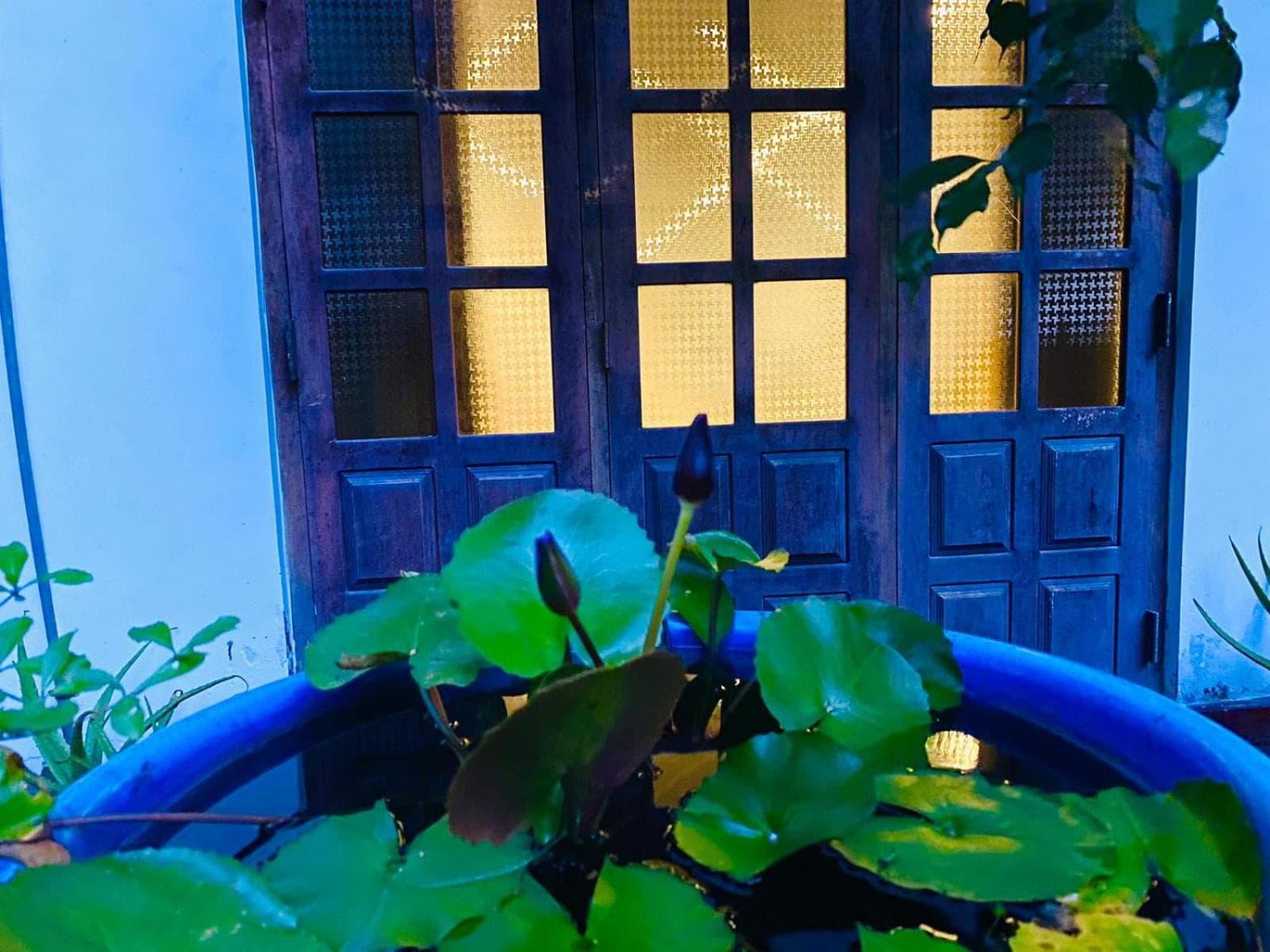 Sachi's place photo 6