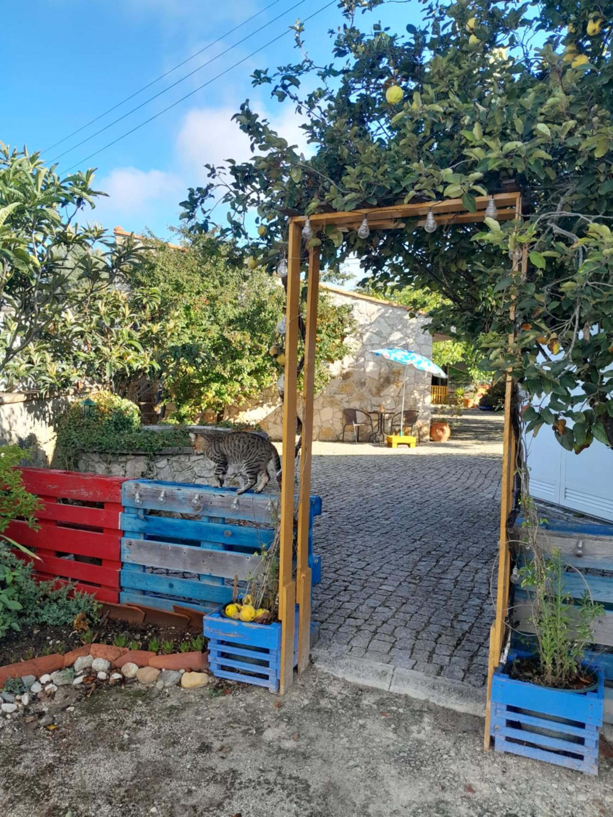 Refúgio das Artes Guesthouse photo 8