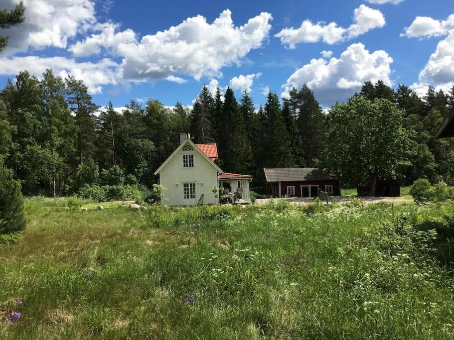Vacation in Wonderful environment! - Uppsala photo 9