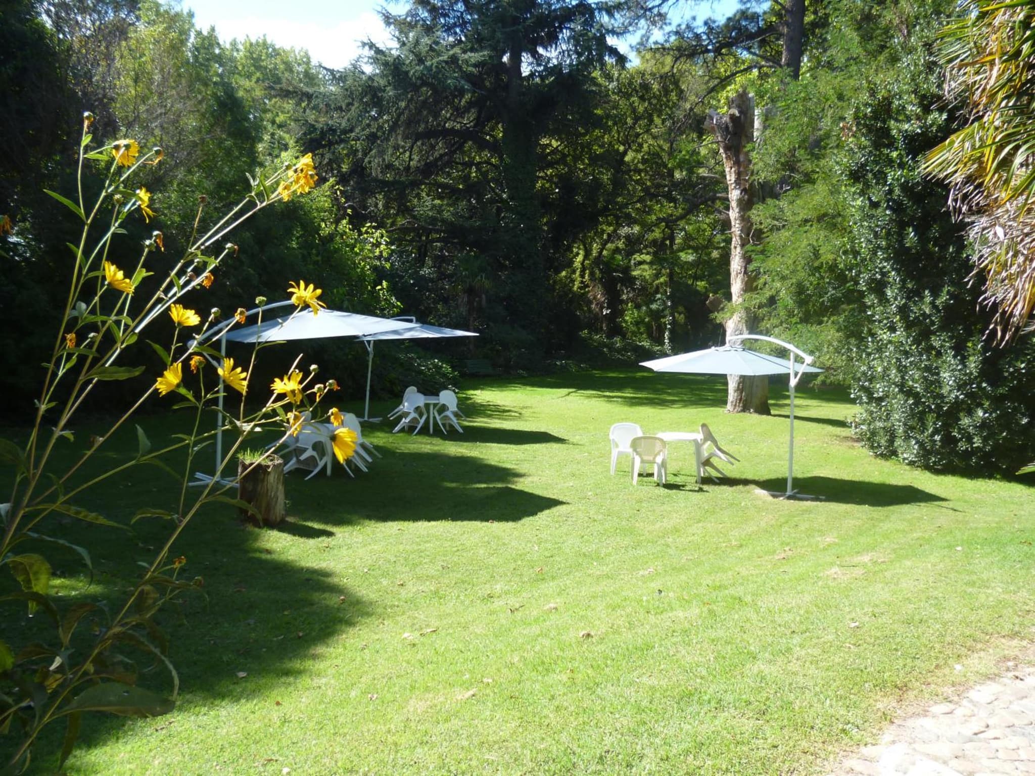 Hotel Alihuen photo 9