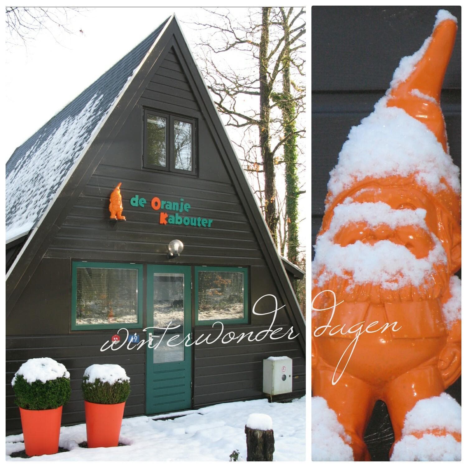 De Oranje Kabouter photo 7