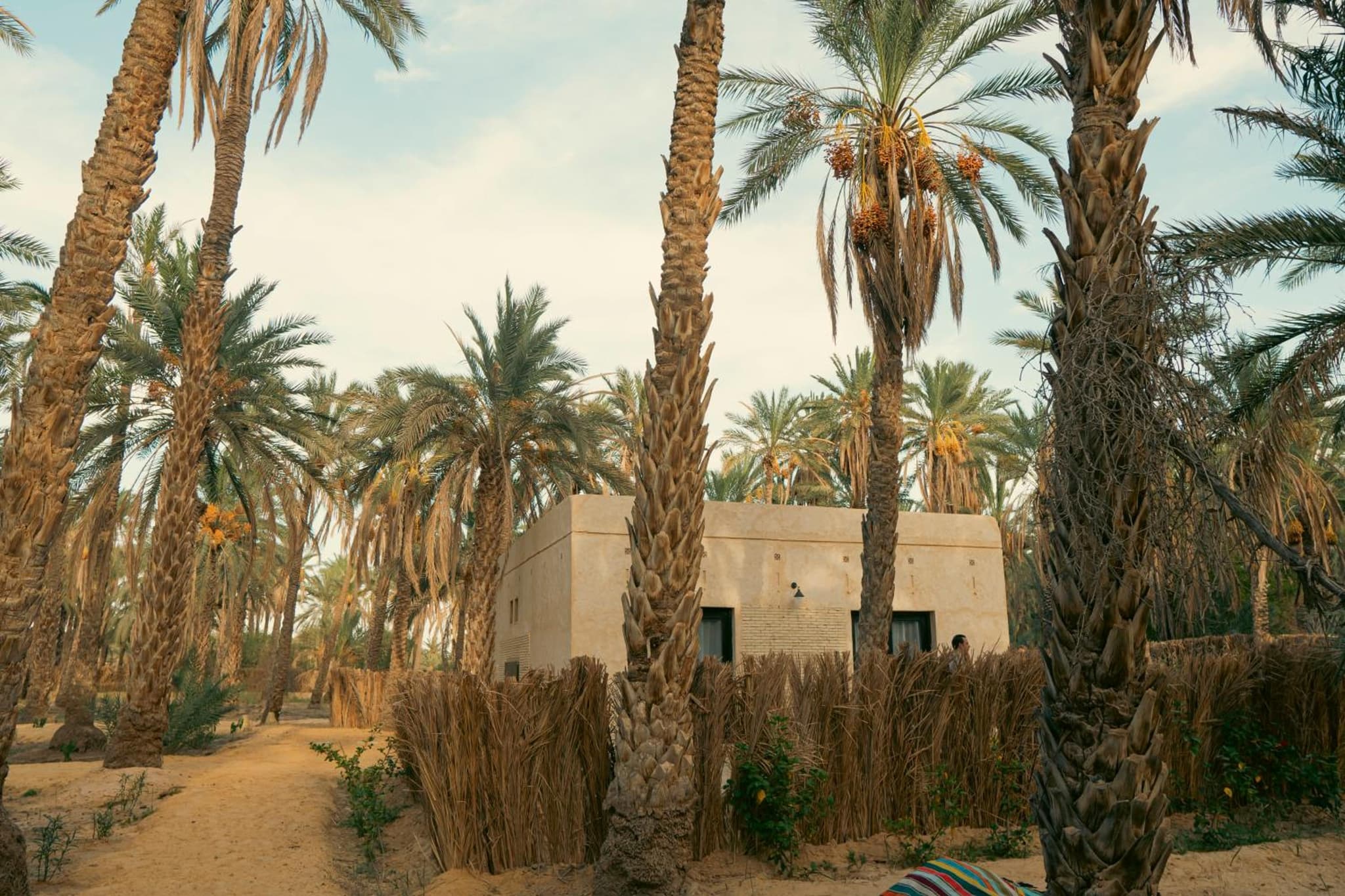 Villa Taouzert photo 3