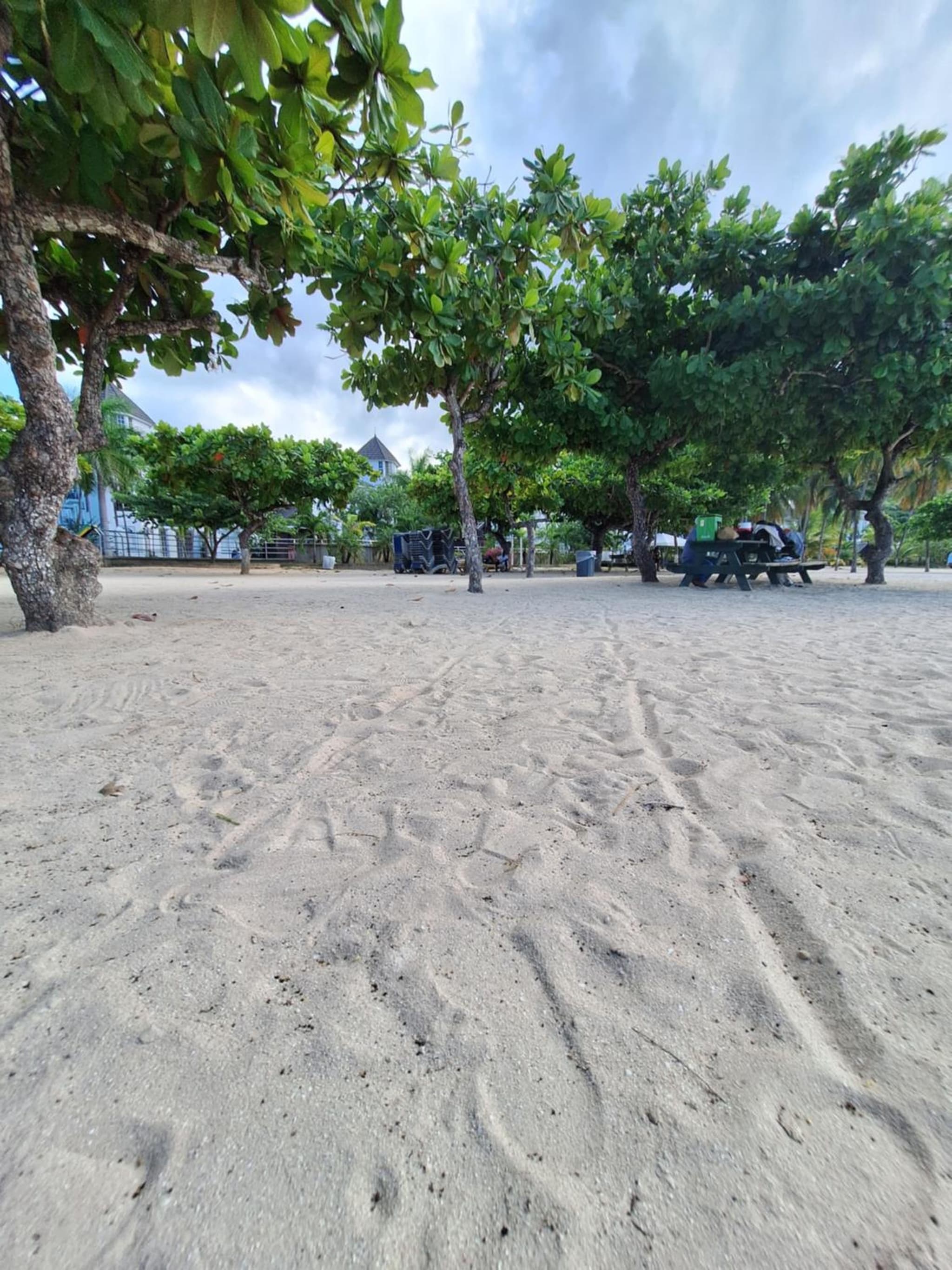 Beach One Bedroom 2 photo 3