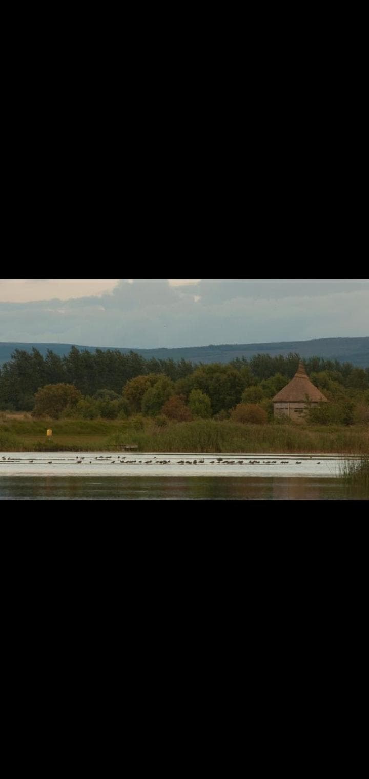Killooley Lodge photo 7