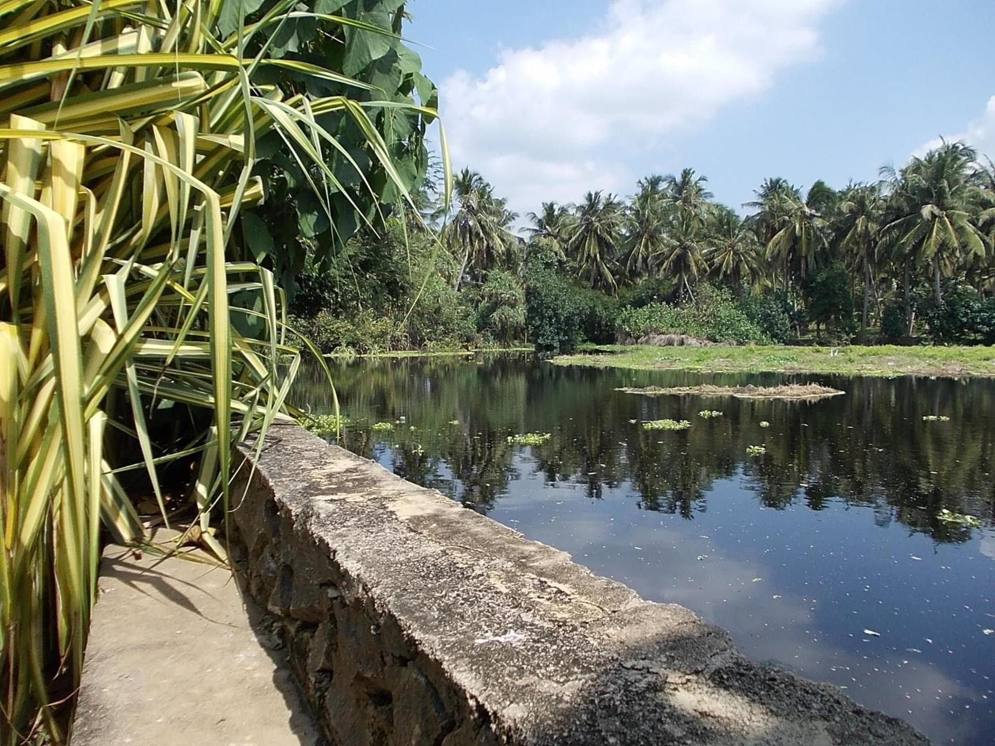 Sri Beach Bungalows And Villa photo 5