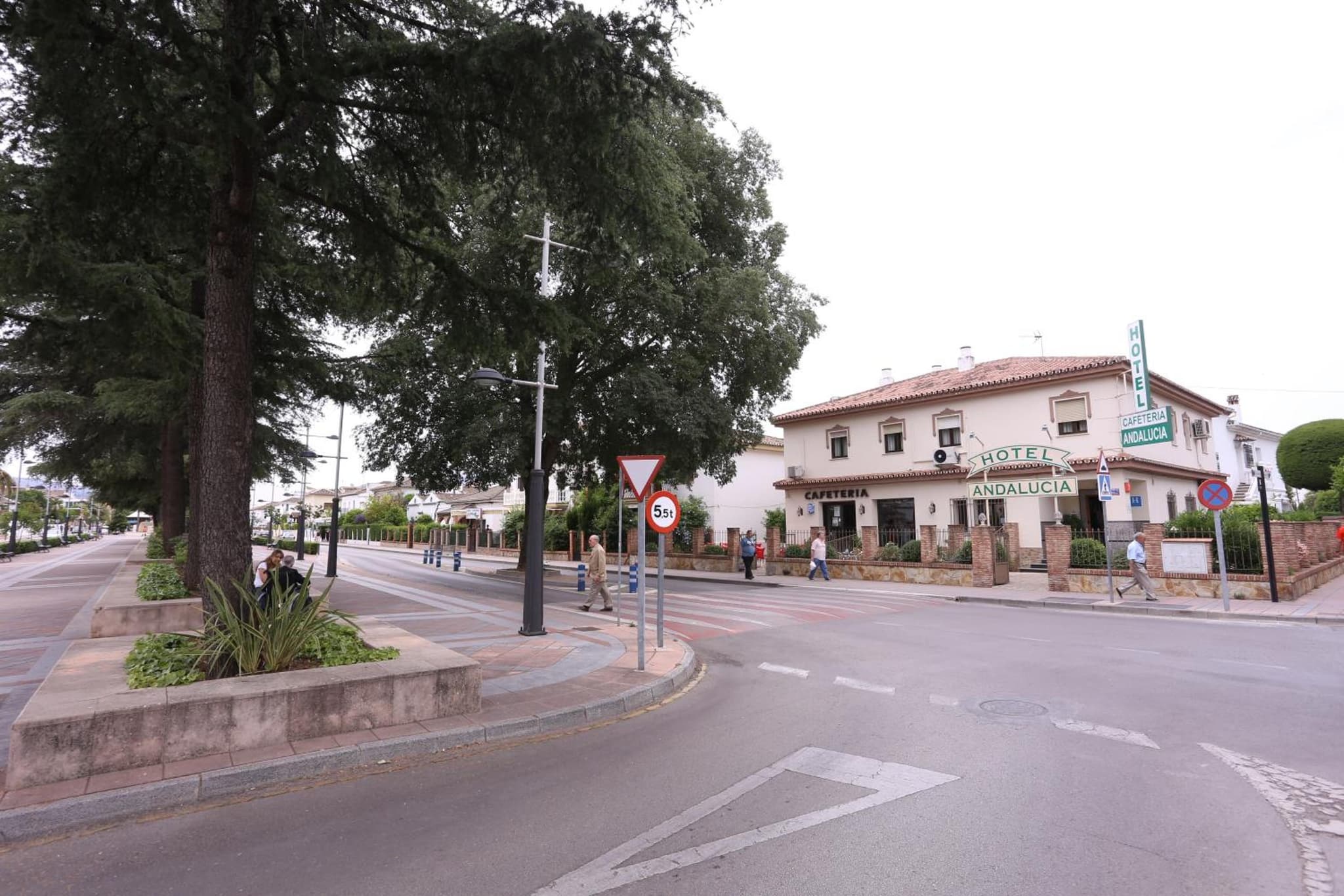 Hotel Andalucia photo 8