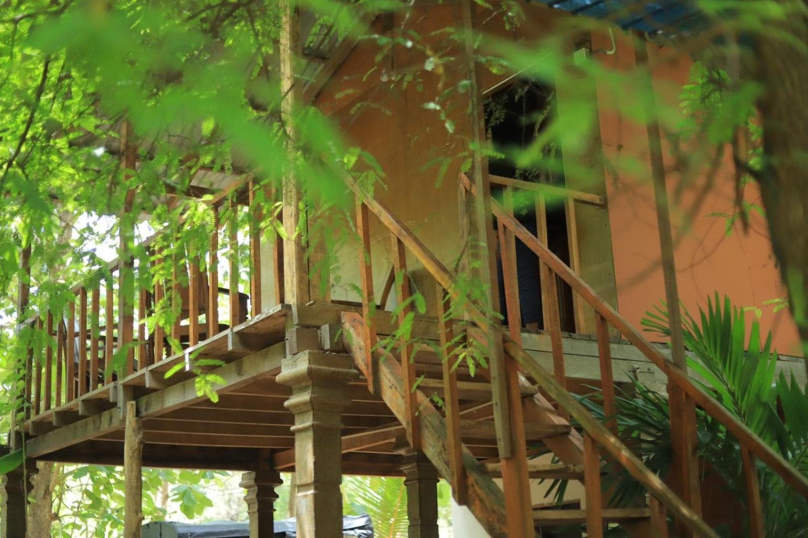 Sigiriya Free View Tree House & Villa photo 5