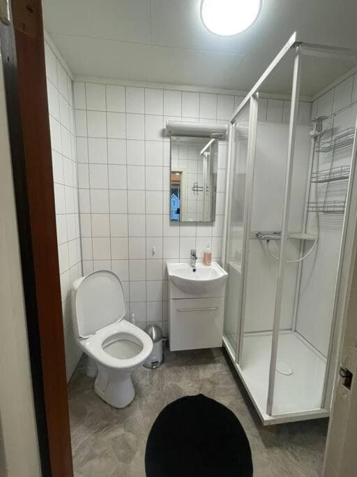 Liten eldre og koselig studiohybel photo 2