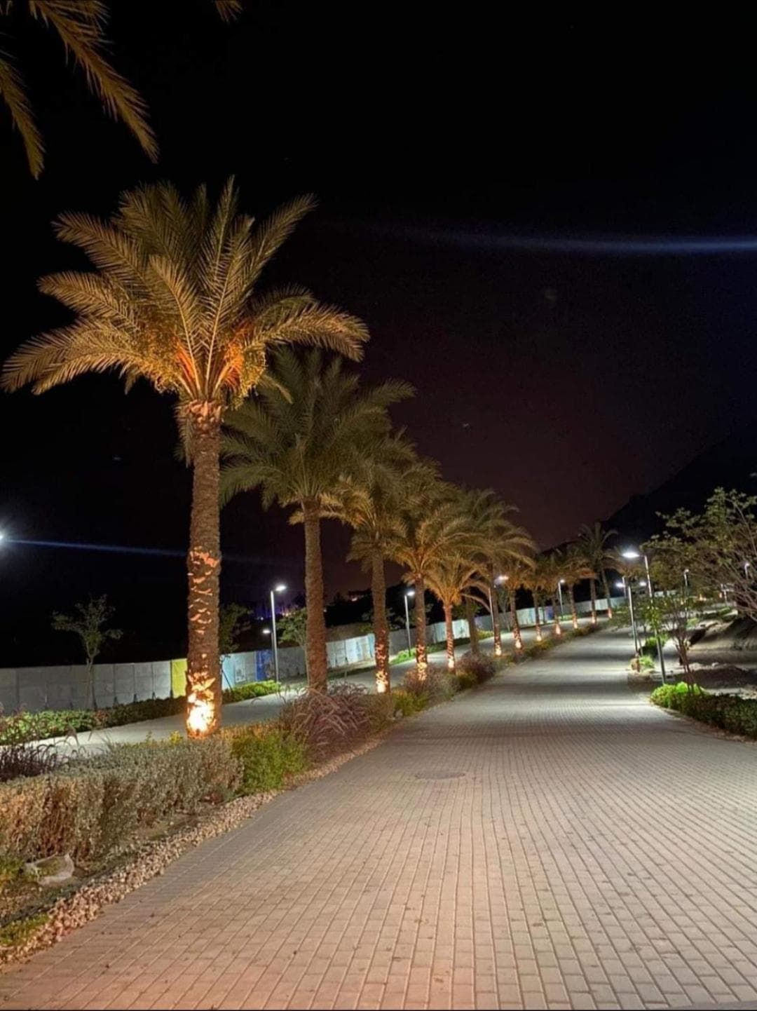 The Groove Ain Sokhna photo 5